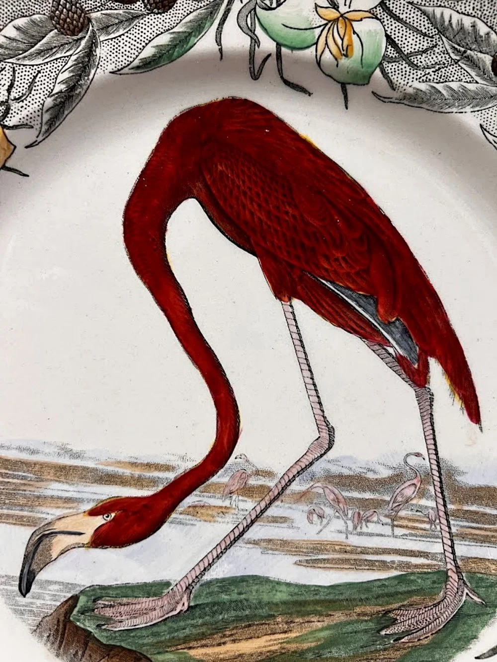 5593-william-adams-england-audobon-flamingo-plate-center-closeup-1000 x 1333.jpg