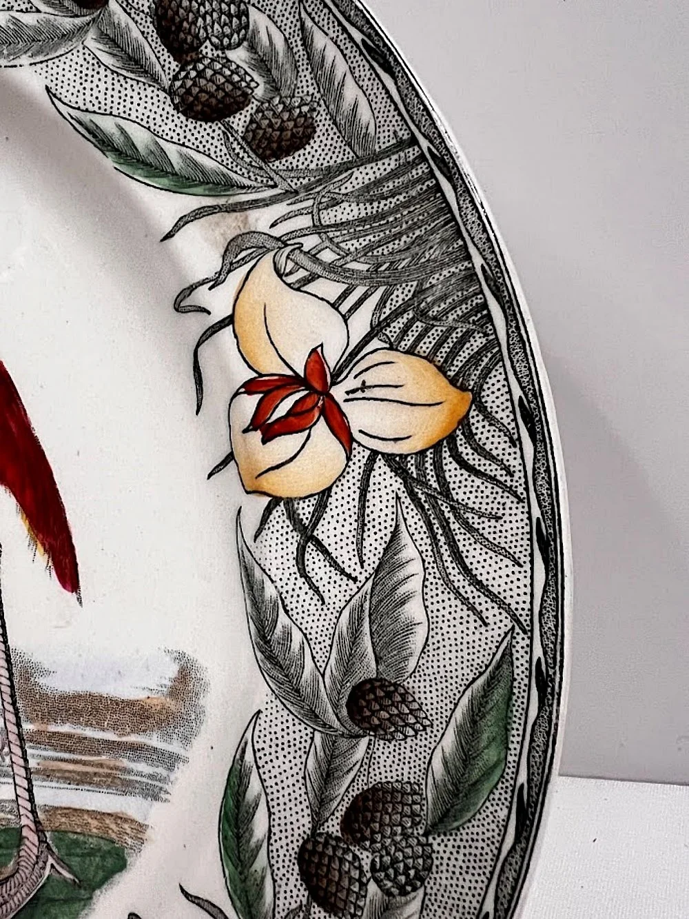 5593-william-adams-england-audobon-flamingo-plate-right-rim-1000 x 1333.jpg