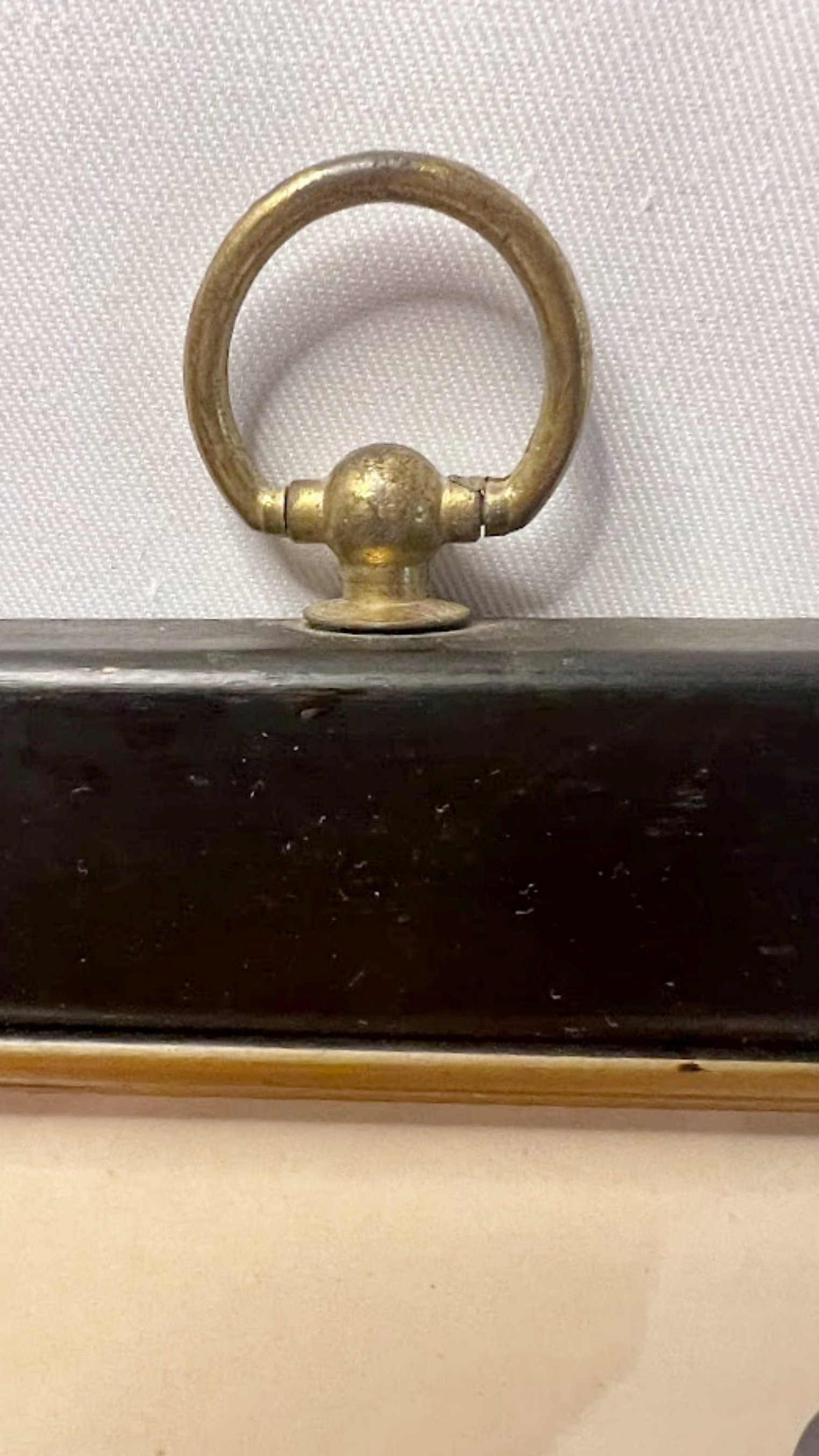 Antique Framed Print Velvet Scoter Duck Morris Birds Plate 283-Hook Hanger Closeup-1523 x 2705.jpg