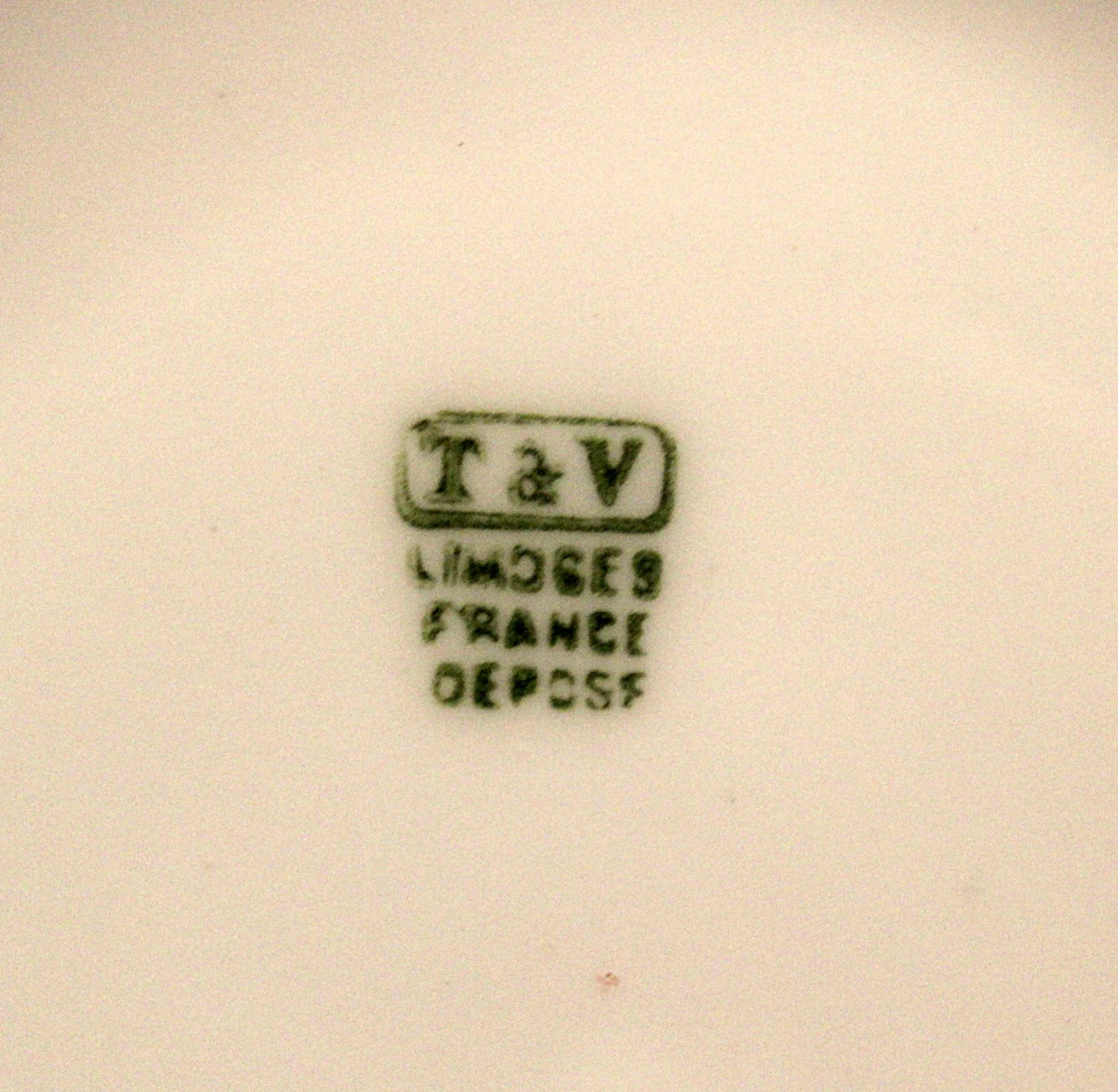 5837-Antique T&V Limoges Centerpiece Bowl 1892-1907 Handpainted Mushrooms-full-bottom-Mark-Closeup-2000 x 1953.JPG