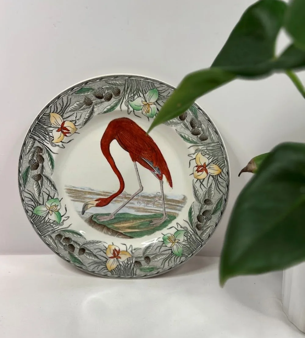 5593-william-adams-england-audobon-flamingo-plate-green leaves-1000  x 1110.jpg