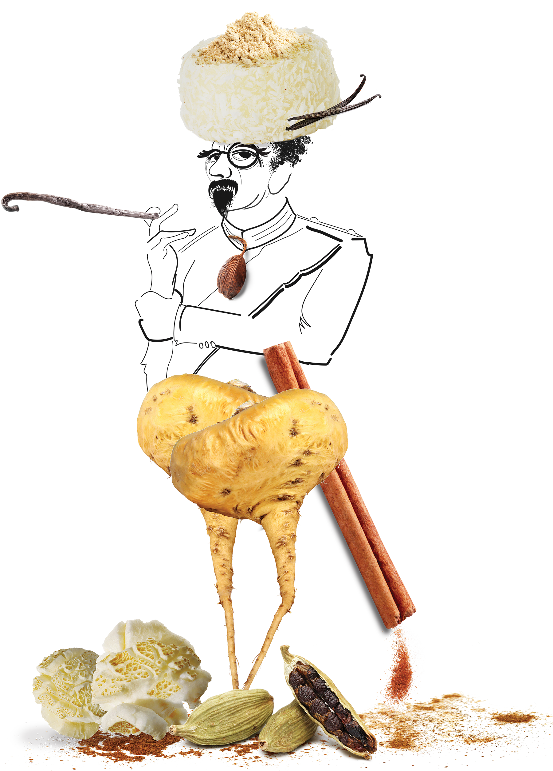 Illustration of culinary spices and ingredients including vanilla bean, bay leaf, cardamom pods, cinnamon sticks, turmeric root, black pepper, peppercorns, and cinnamon powder.