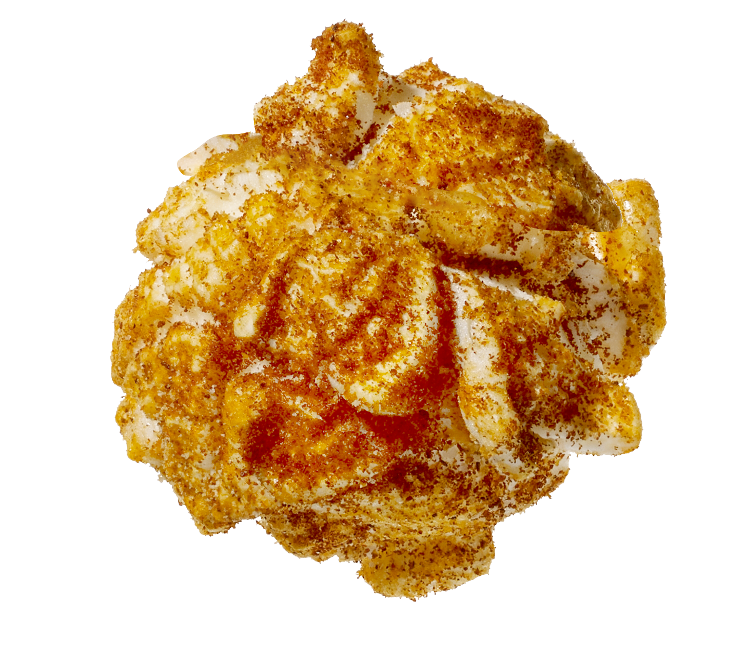 A close-up of a fried chicken wing coated with seasoned breadcrumbs.