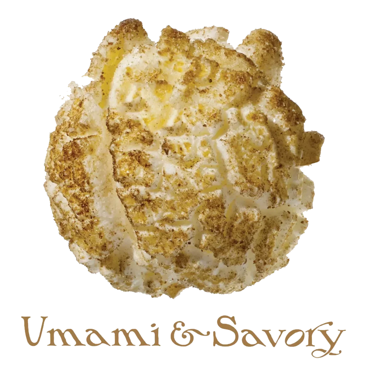 A close-up view of Rami Umami caramel popcorn with a toasted, caramel coating and a sprinkle of crushed nuts on top, with the words 'Umani & Savory' written at the bottom.