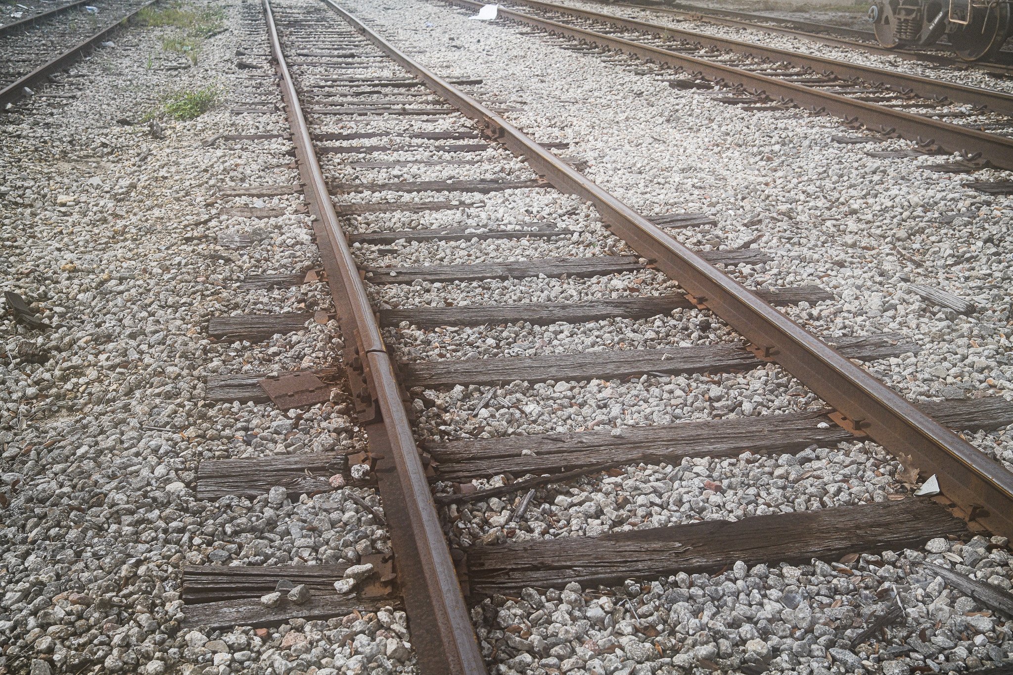 _DSF0922.jpg