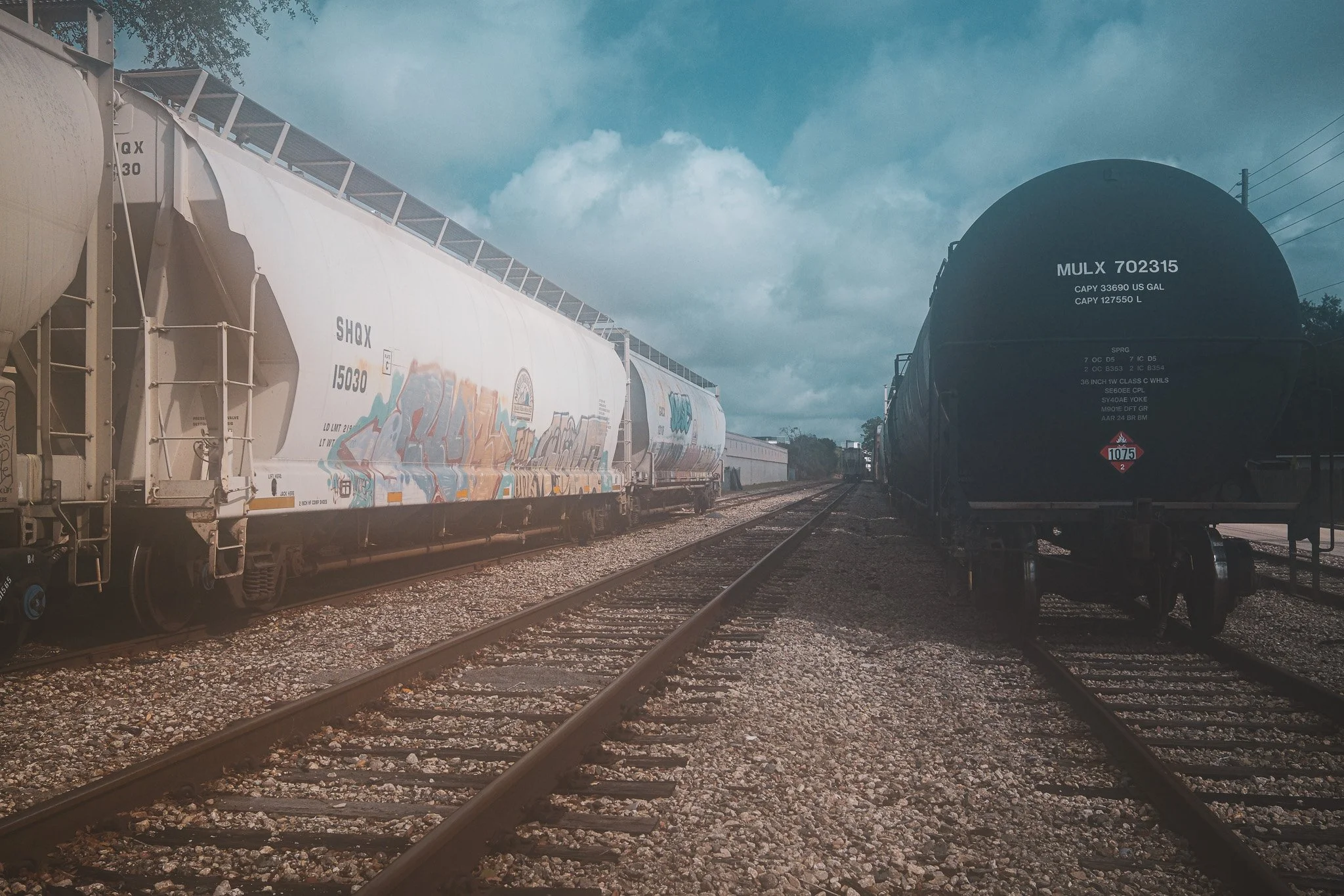_DSF0925.jpg