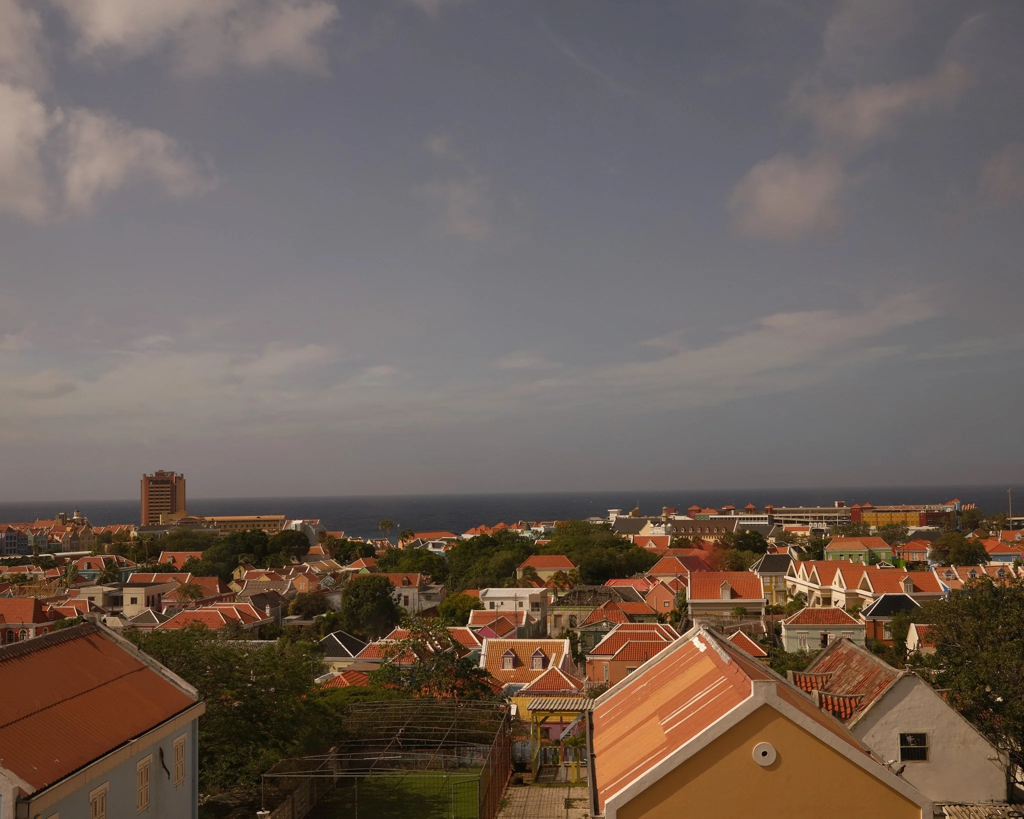 _DSF1579.jpg