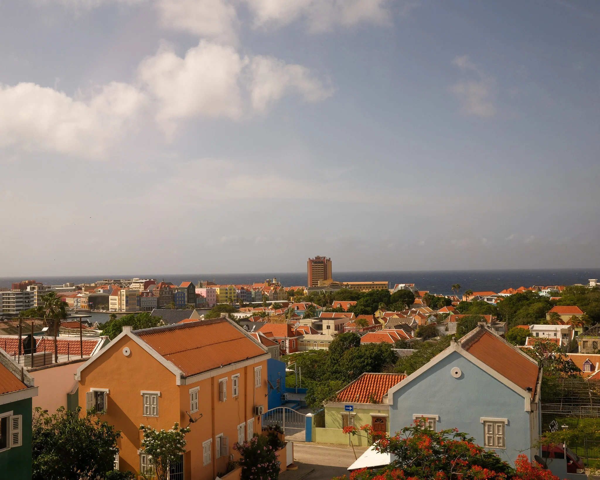 _DSF1578.jpg