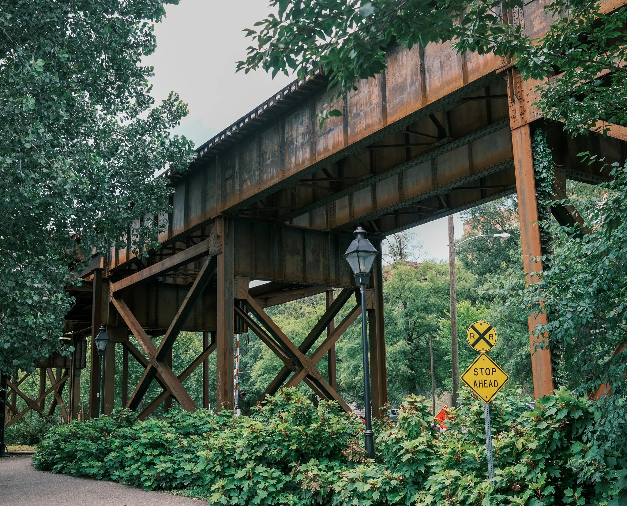 _DSF1222.jpg