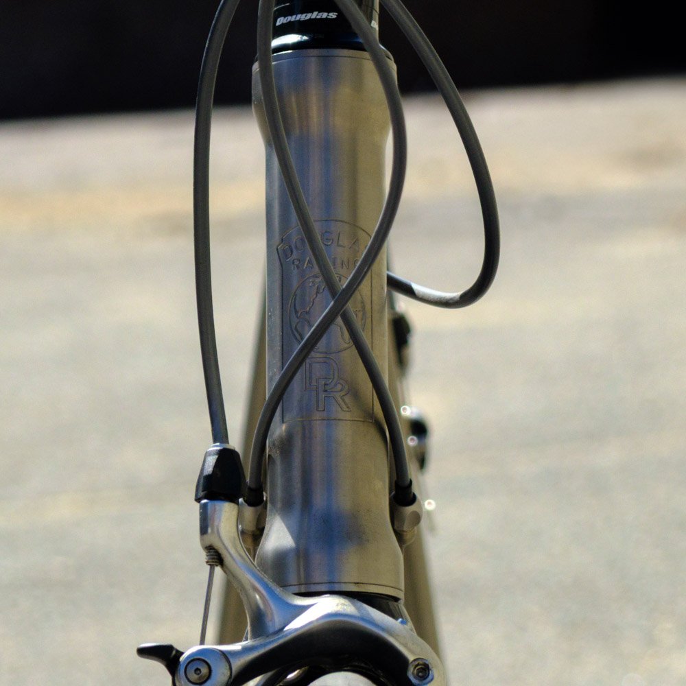 Robins Precision (1 of 1)-2.jpg