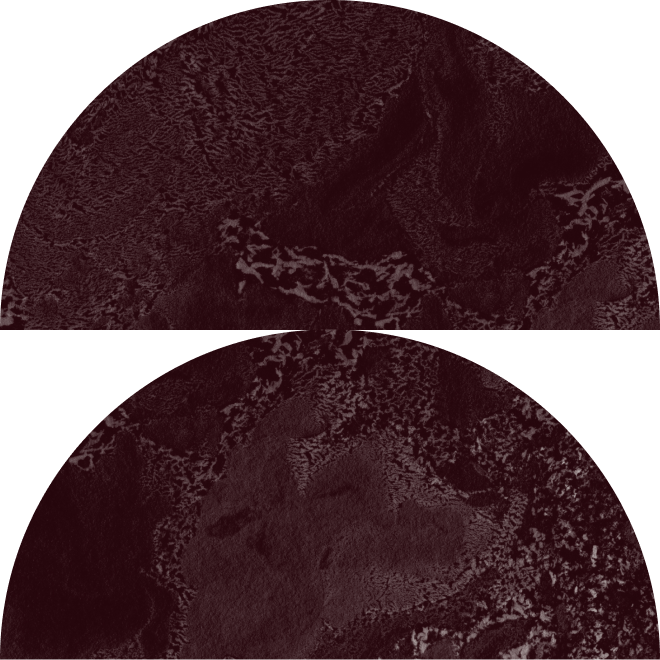 A dark, abstract image with textured patterns and curved shapes.