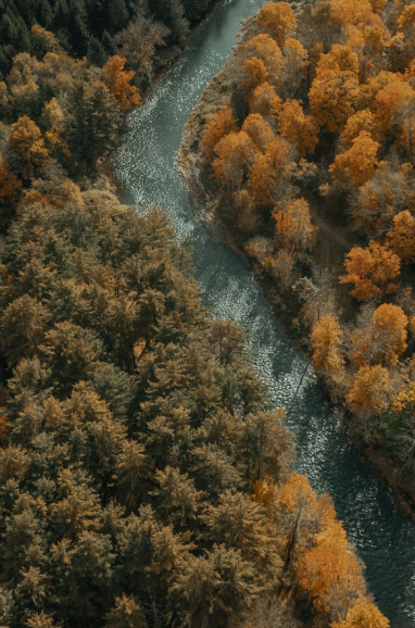 Aerial view of a winding river flowing through a forest with trees in fall colors.