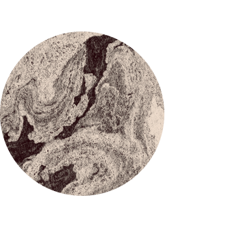 Close-up of a brain cell with intricate folds and structures.