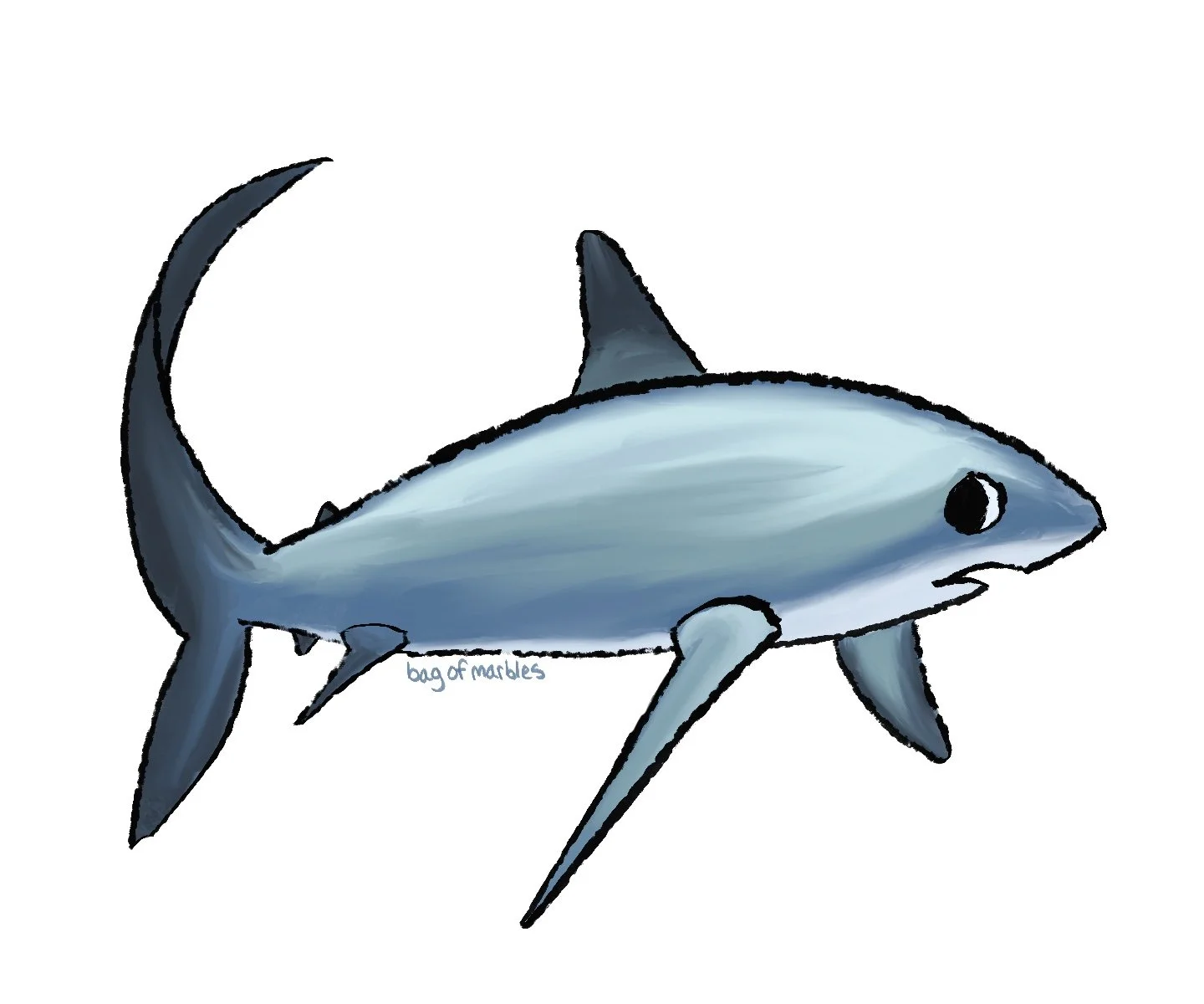 Thresher shark sticker, digital painting, 2025