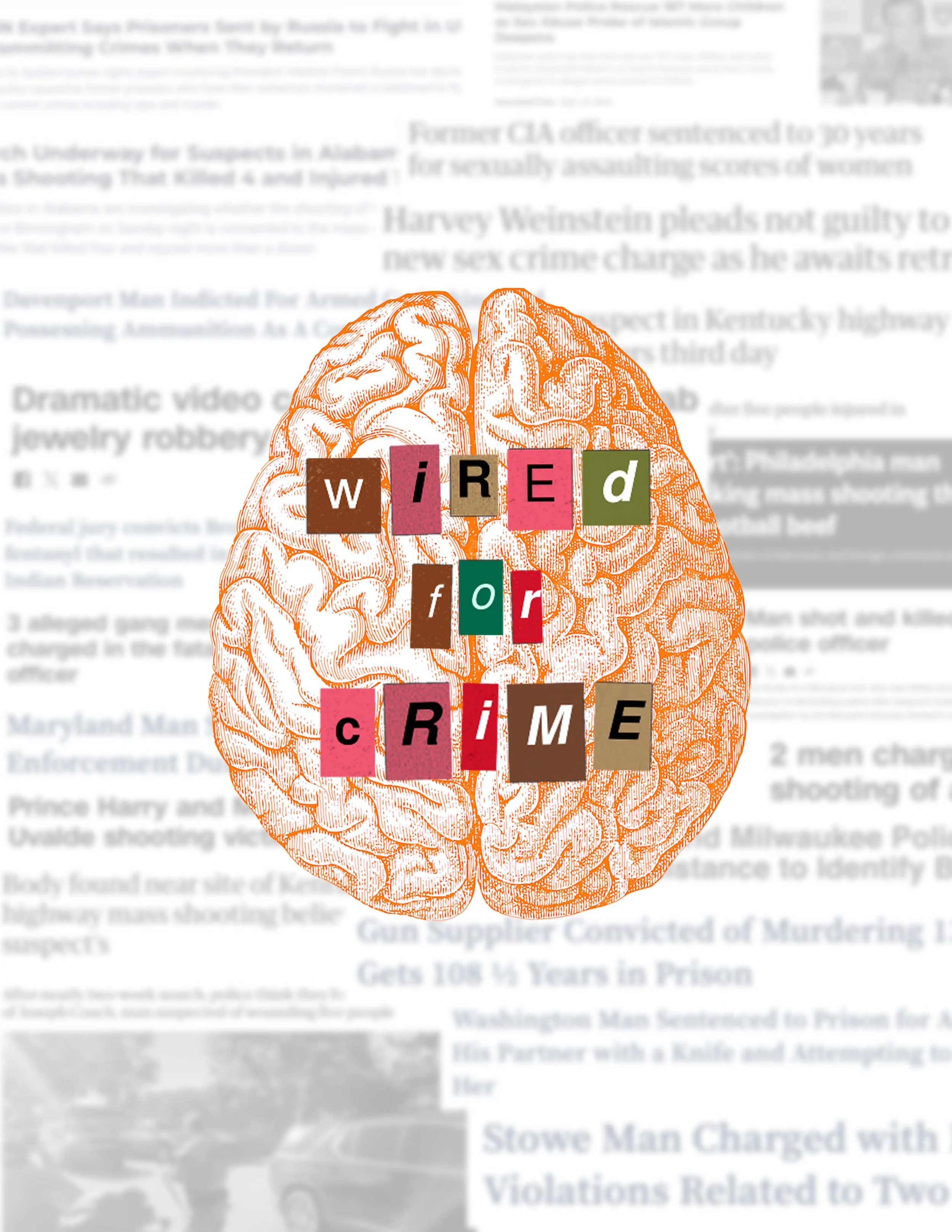 Wired for Crime article cover, Photoshop, 2024