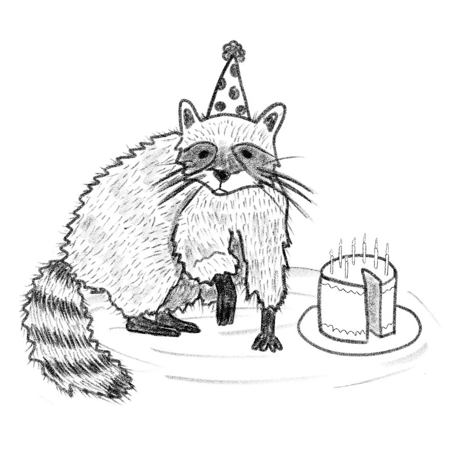 Raccoon birthday, digital drawing, 2025