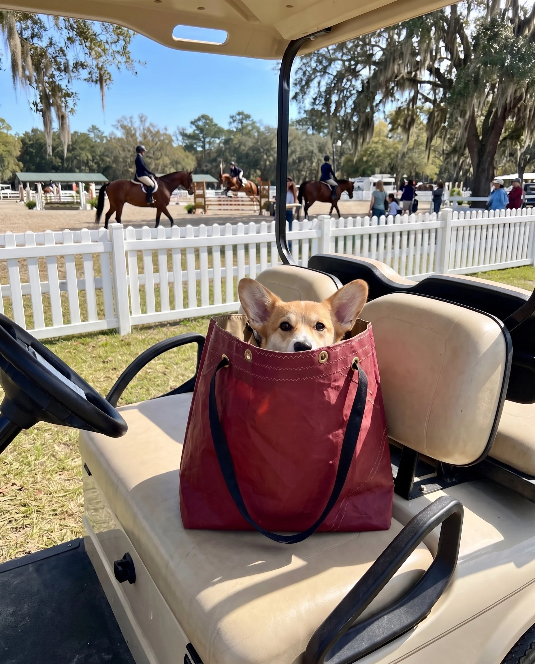 Images uploaded_MODELIA_SS_1_20260720_548908_MODELIA_SS_1_20260721_551024.jpeg
