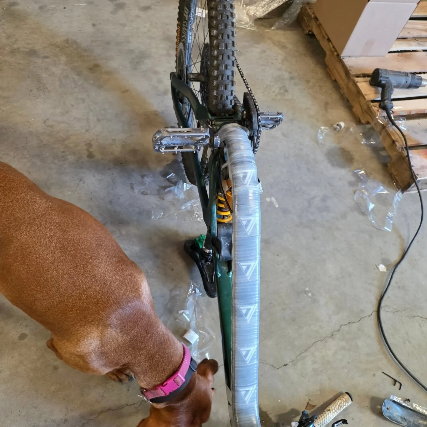 Another Blade Guard Katana downtube protector installed on a propain. Going to look nice when the tape comes off tomorrow. #mtbgear #mtb @harryplaisted11