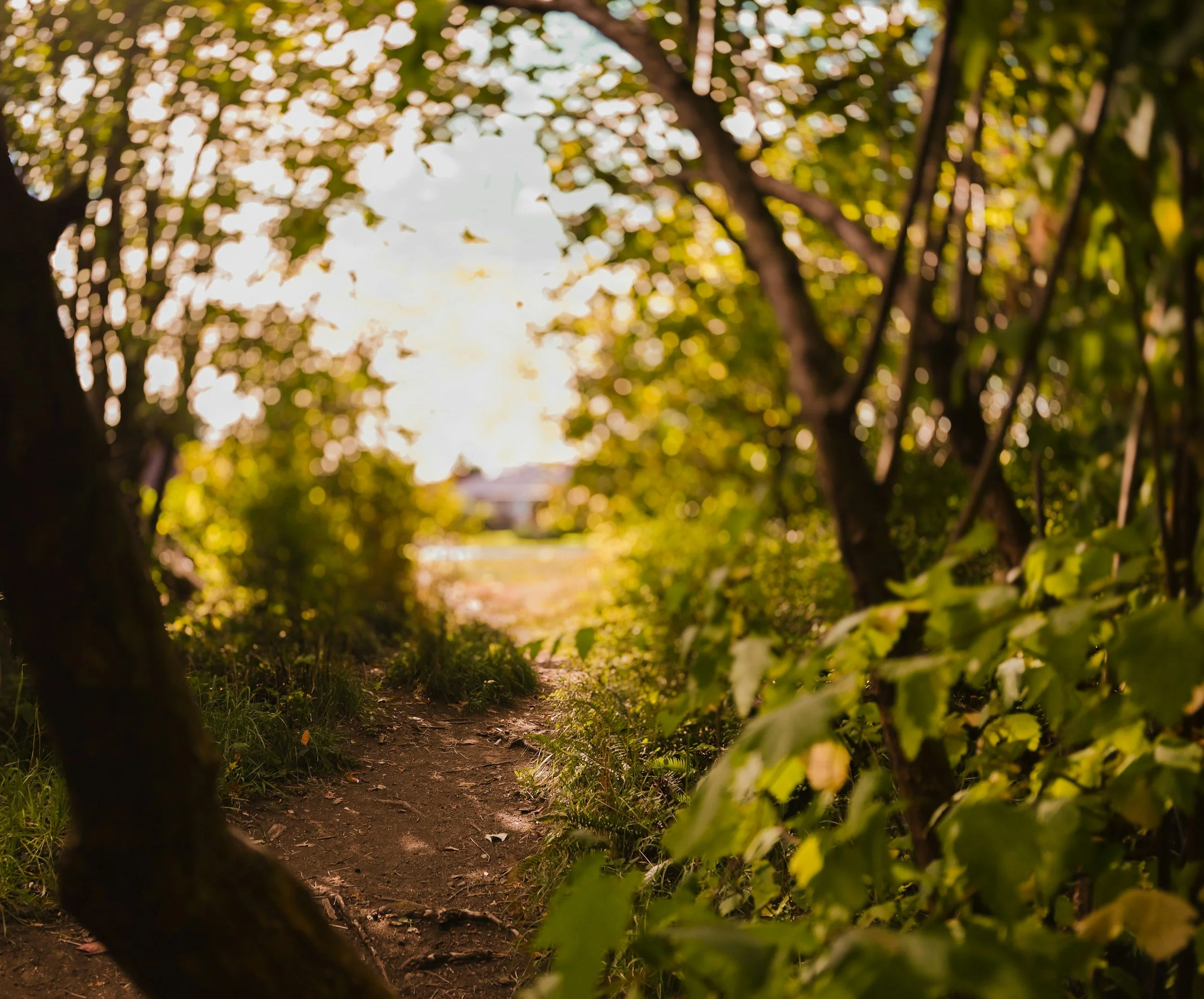 What Does Family Estrangement Actually Look Like?