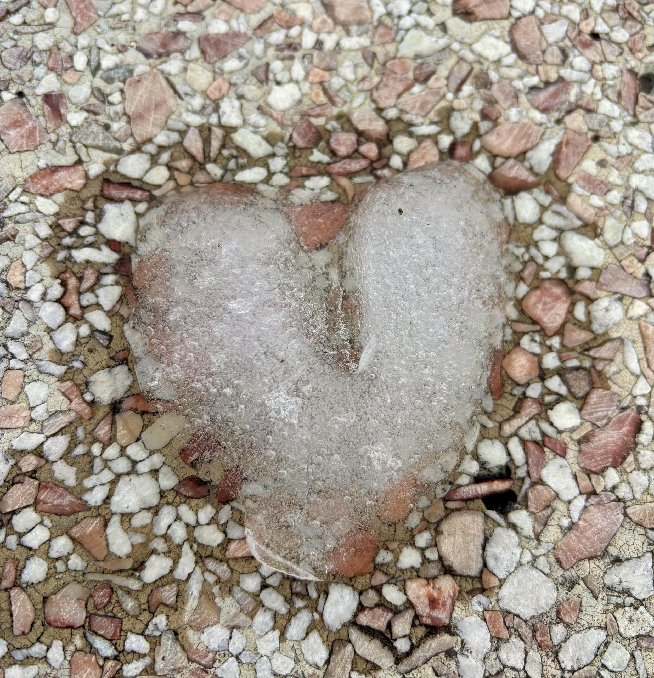 Salmon Arm Somatic Experiencing and Counselling