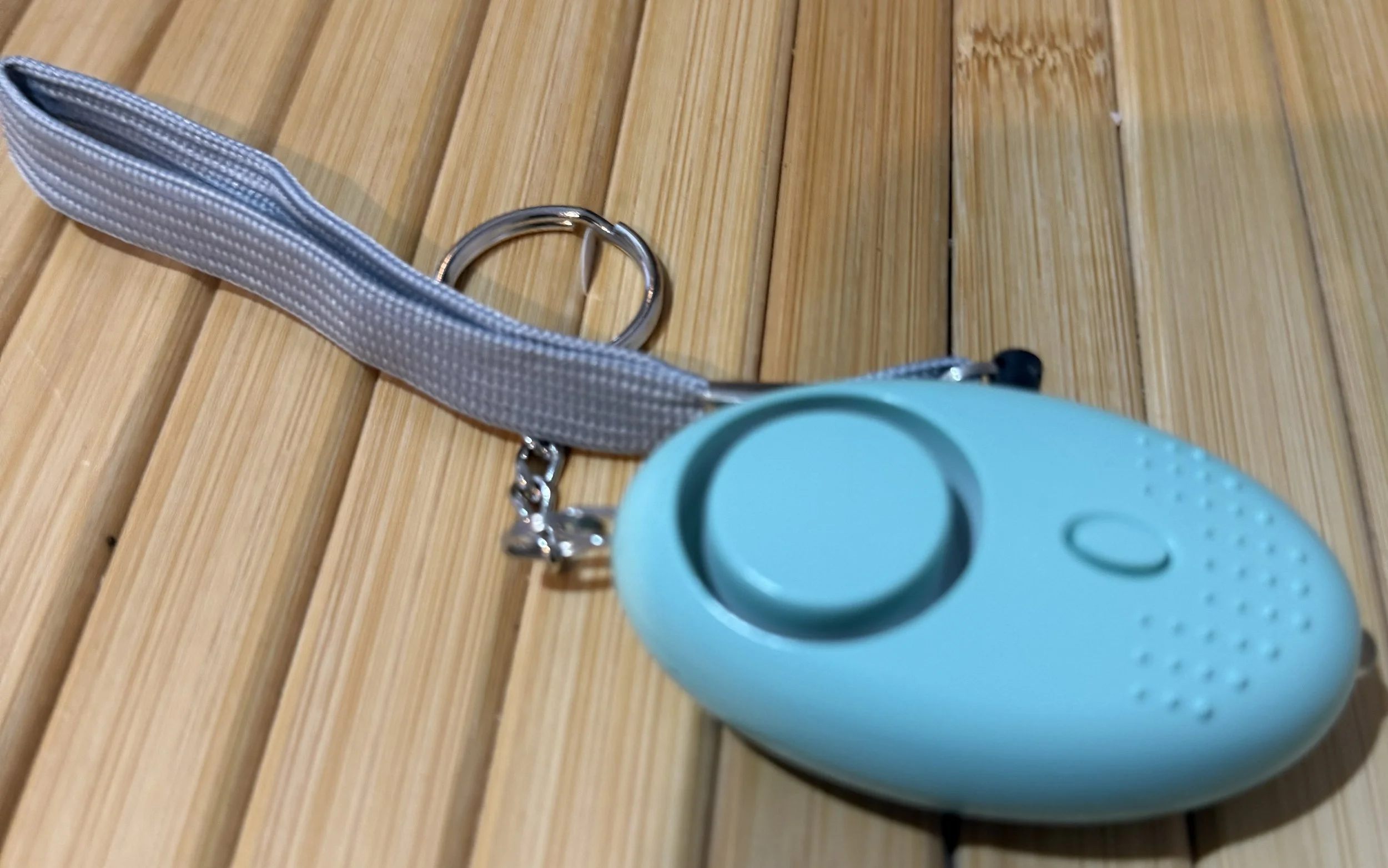 Light Blue Personal Alarm.jpeg (Copy)