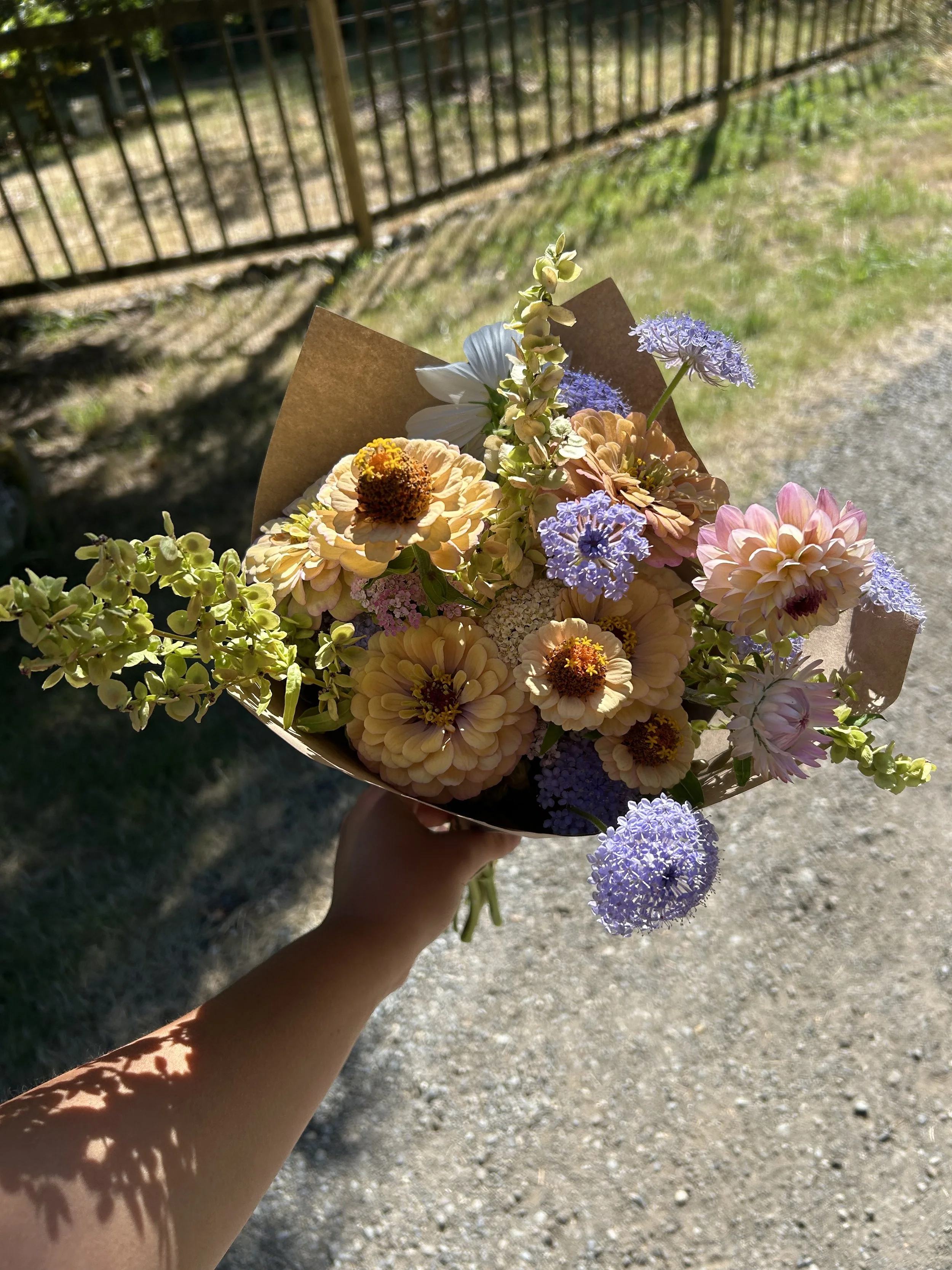 A hand holding a colorful bouquet of various flowers outdoors, with sunlight and a dirt path in the background.