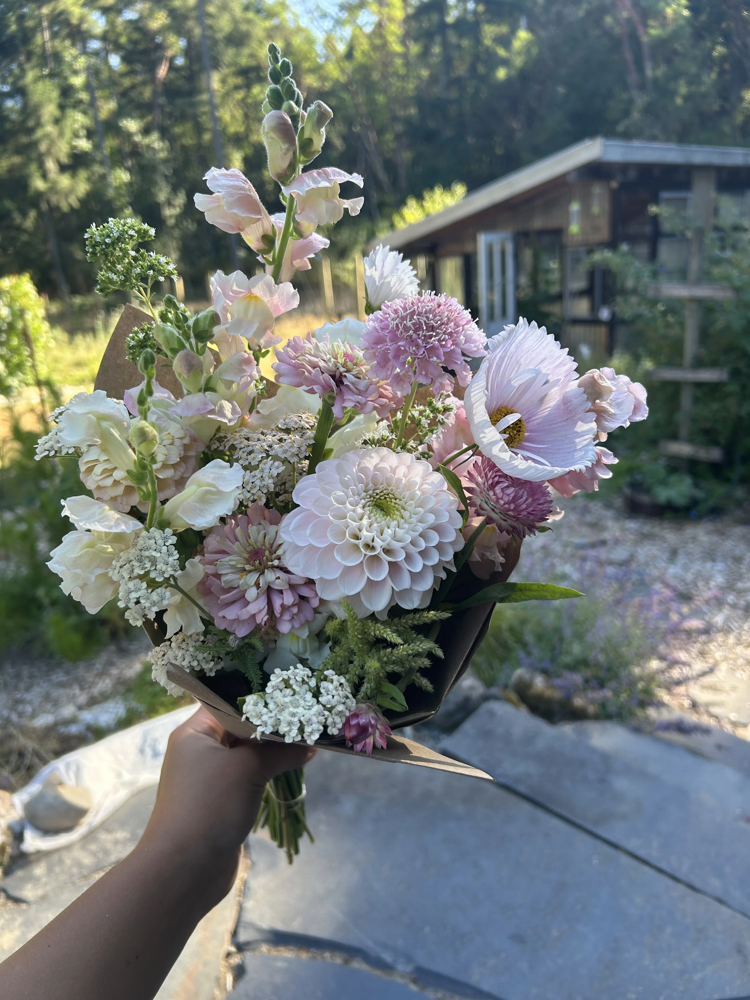 A hand holding a bouquet of pink and white flowers outdoors with a house in the background.