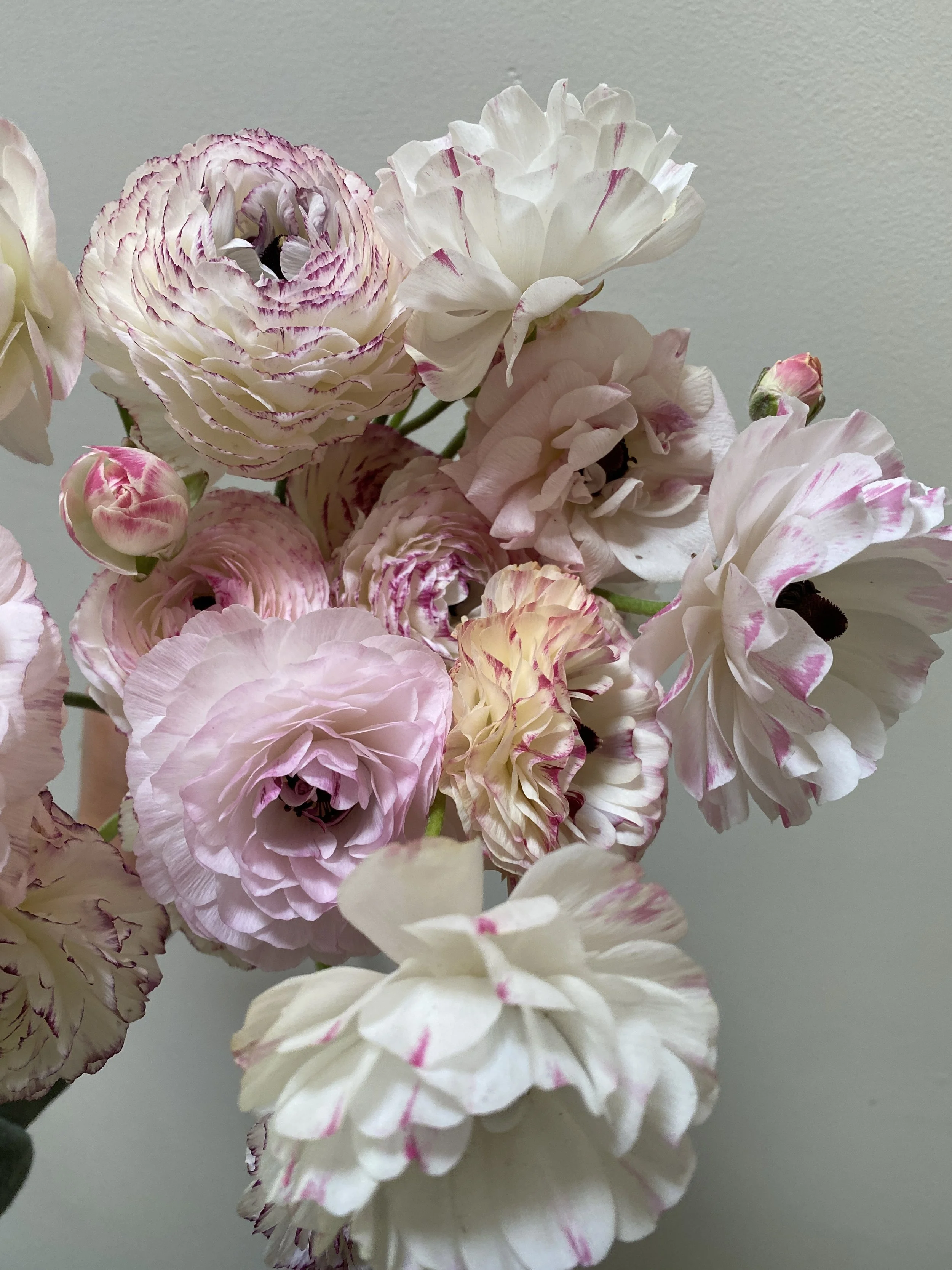 A bouquet of pink and white flowers, including ranunculus and possibly peonies or carnations, with soft pink accents.