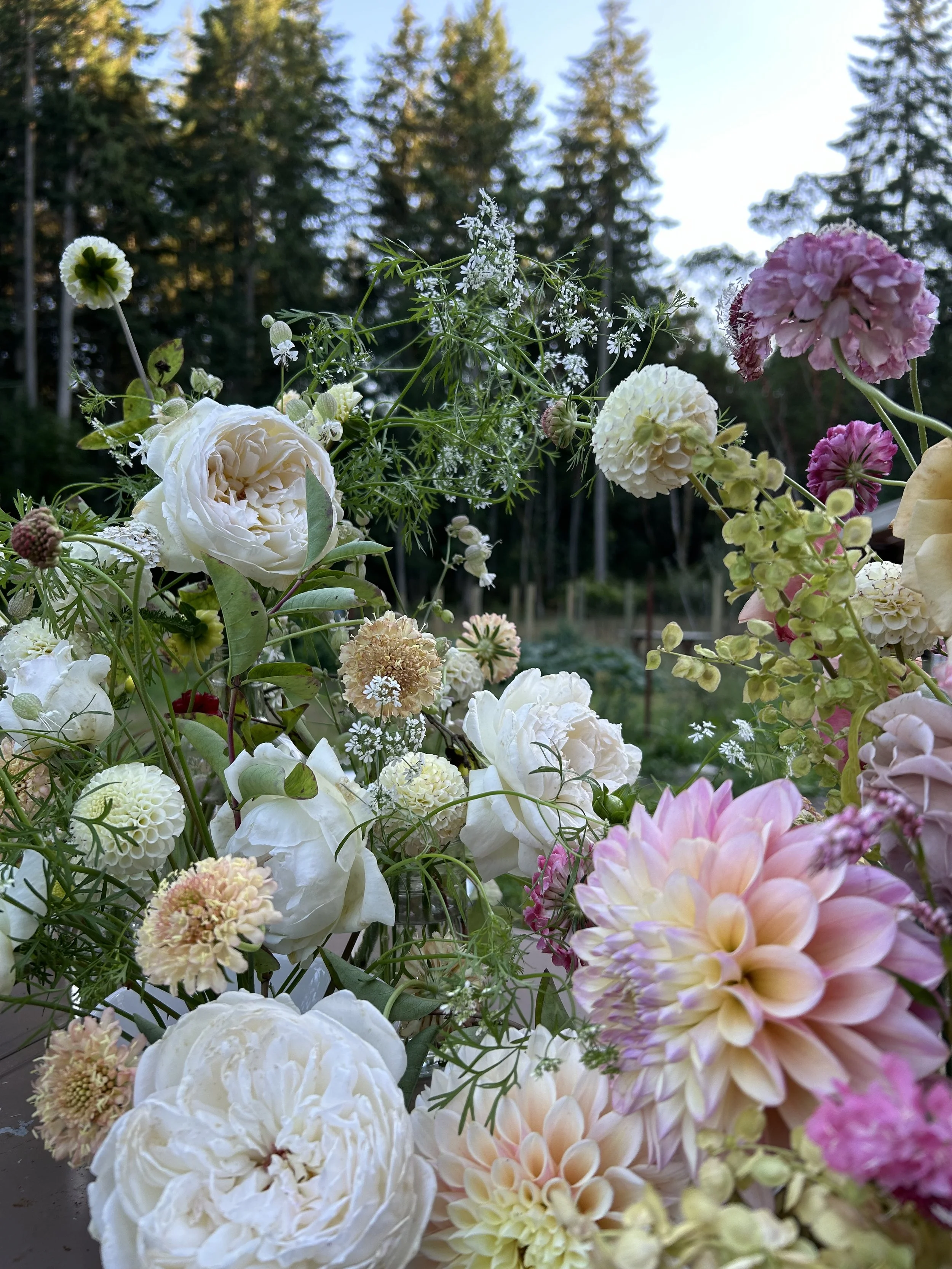 Close-up of a colorful flower bouquet with white, pink, and cream-colored blooms, set against a background of tall green trees and a clear blue sky.