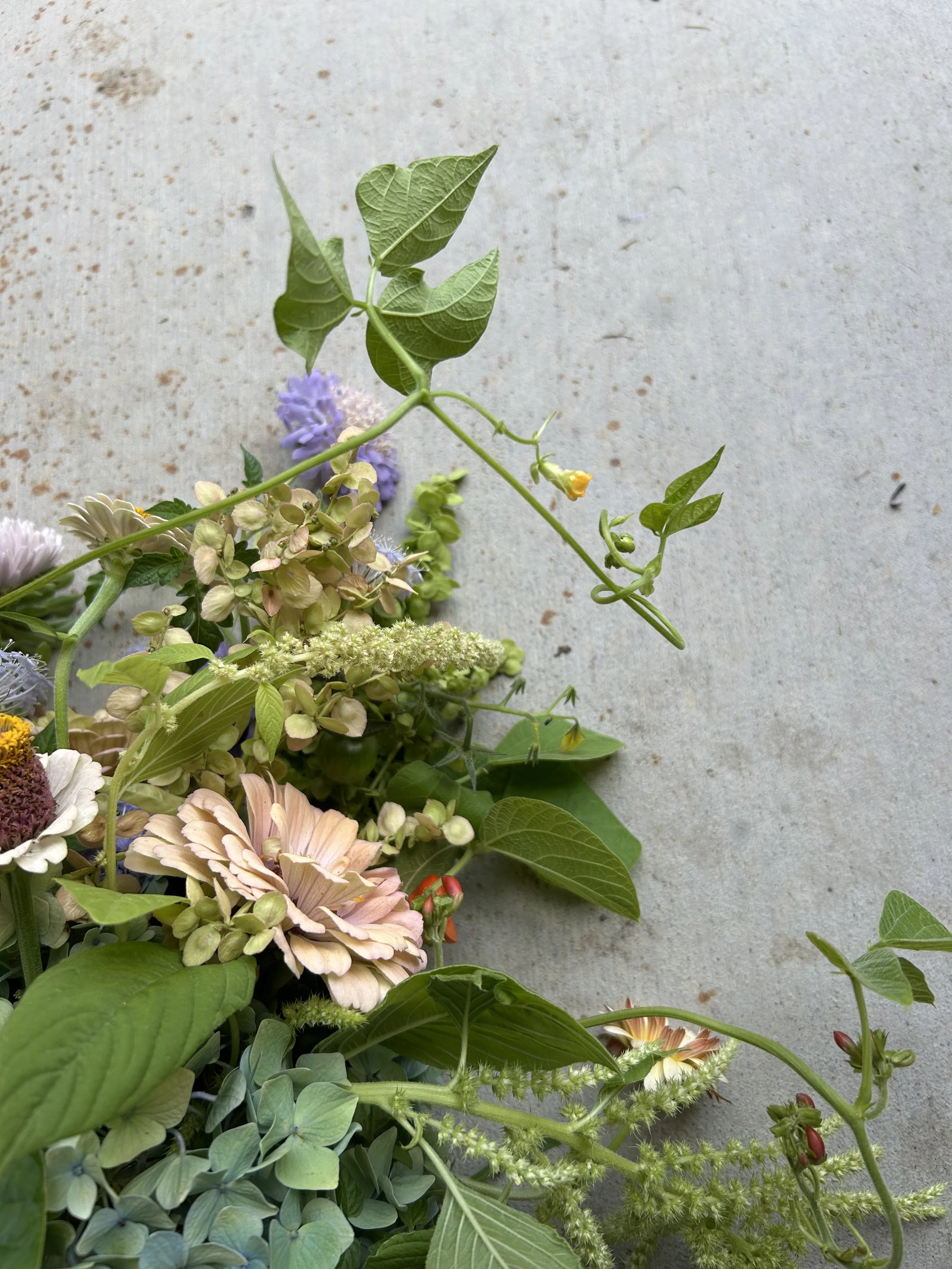 An assortment of colorful flowers and green leaves arranged against a concrete background.