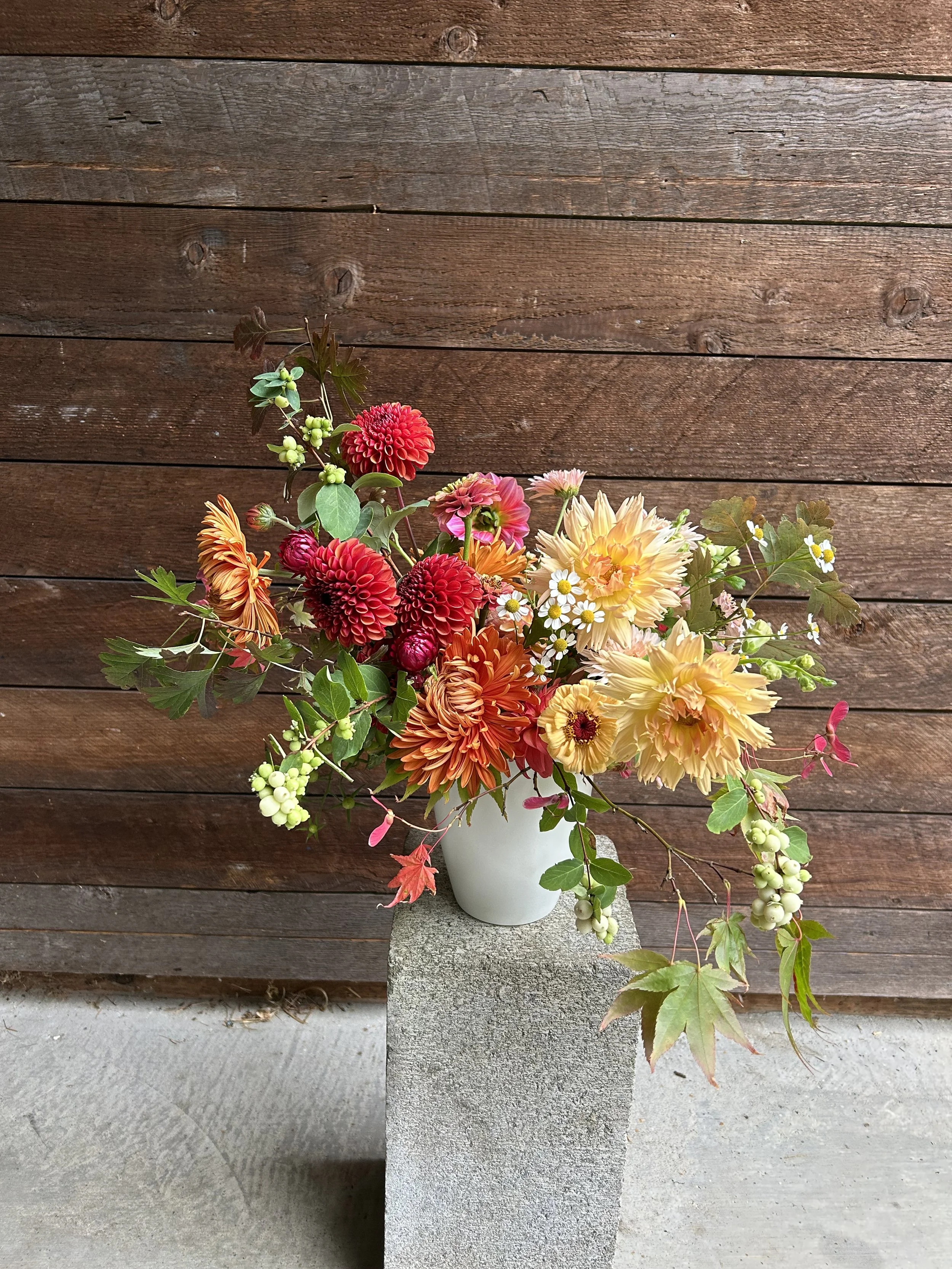 A colorful arrangement of flowers including dahlias, chrysanthemums, and berries in a white vase on a concrete pedestal against a wooden wall background.