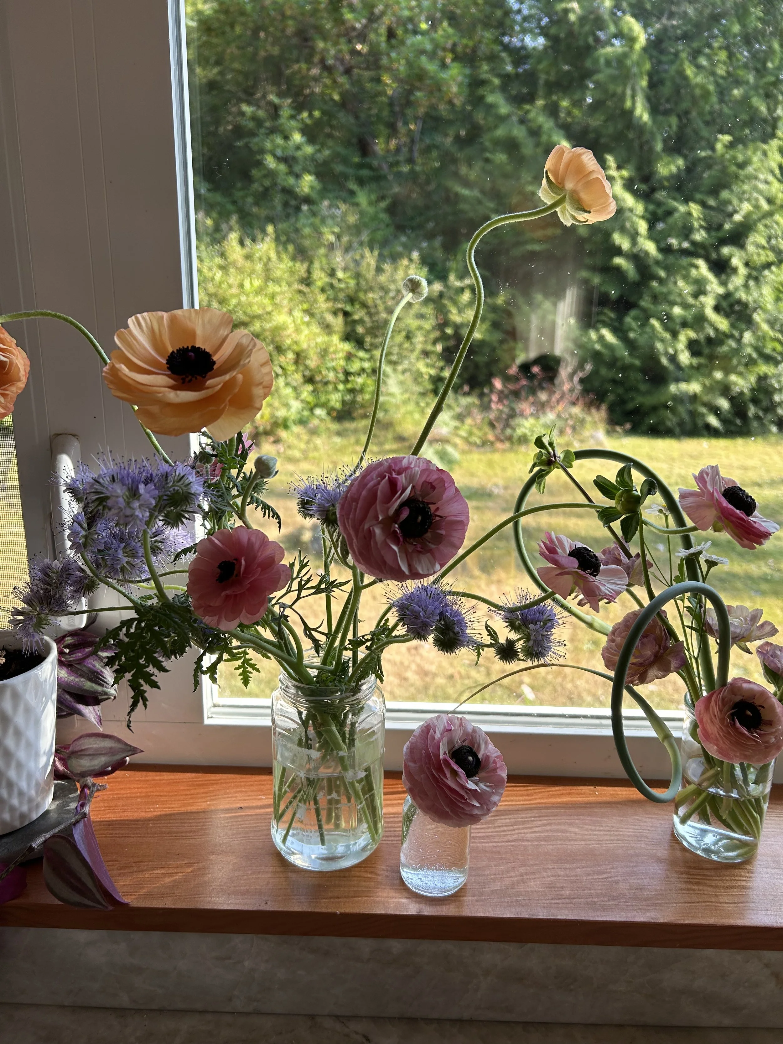 Beautiful flower arrangement in glass vases on a windowsill with a green outdoor landscape in the background.