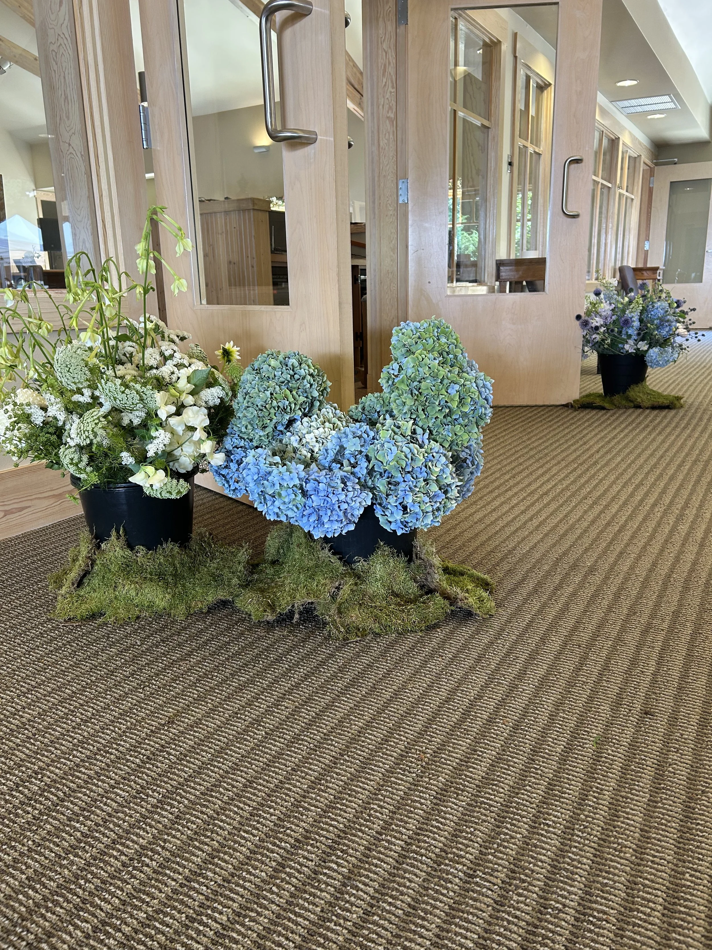 Indoor flower arrangements with hydrangeas and other flowers in black pots placed on a carpeted floor near wooden glass-paneled doors.