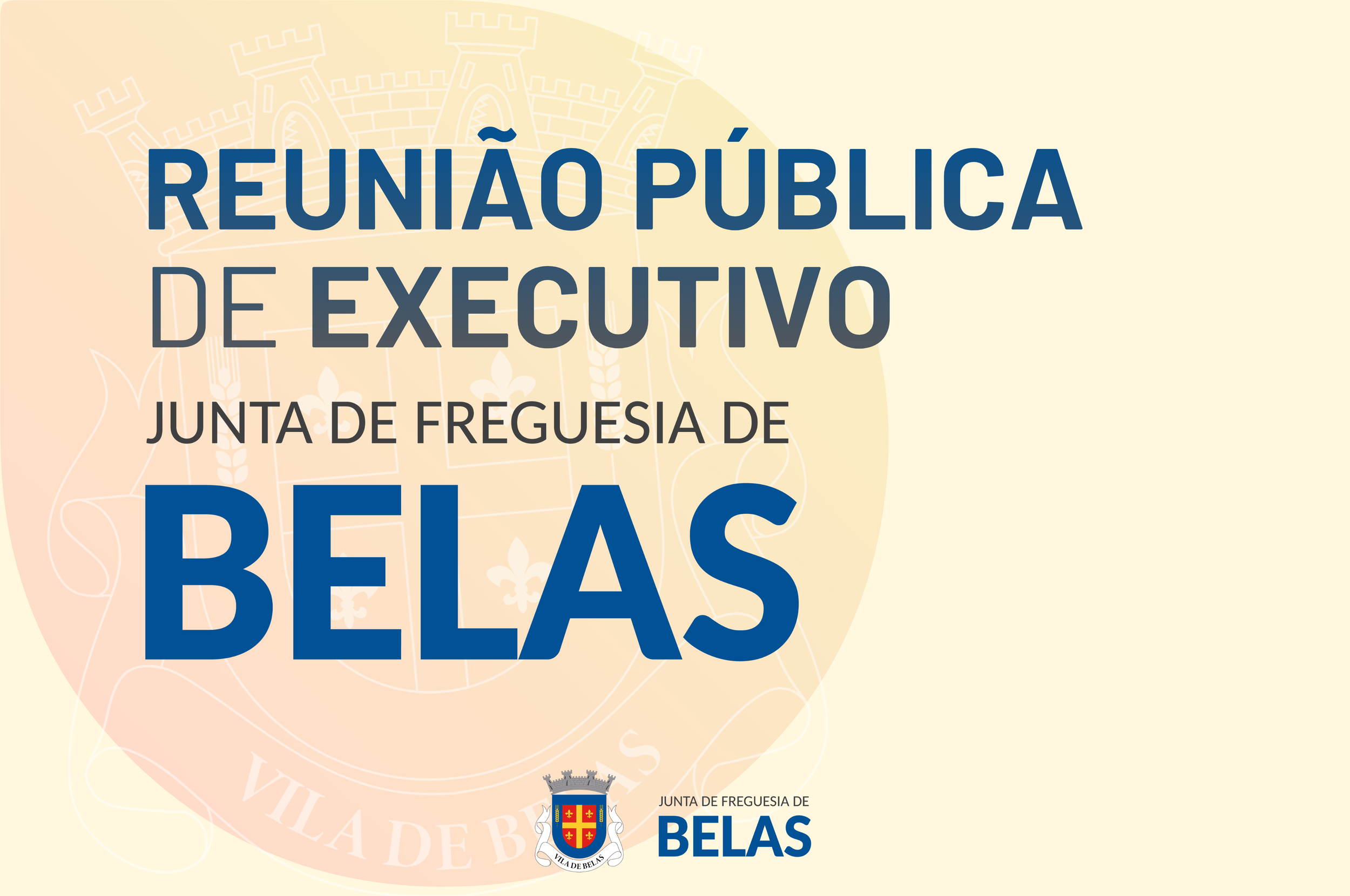 Reunião Pública de Executivo