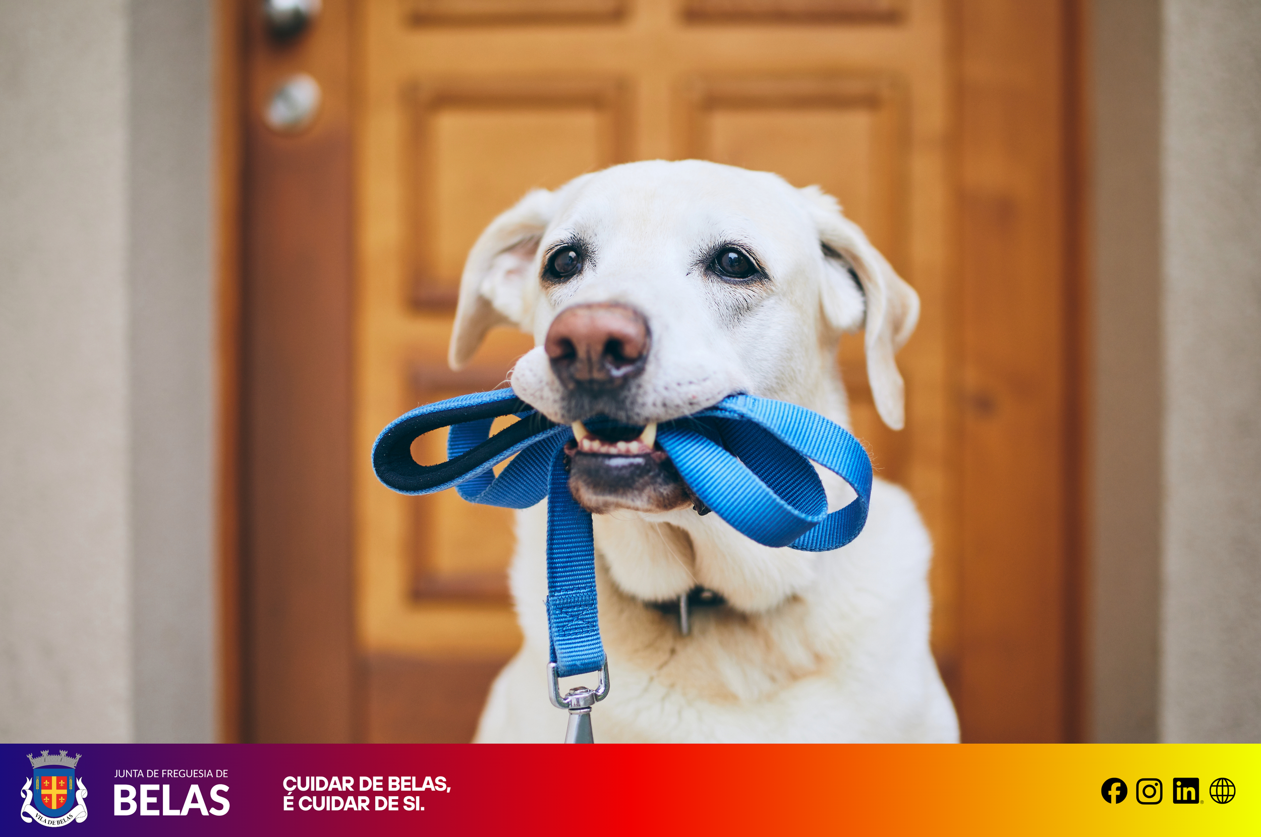 Aviso Canino: Para garantir a segurança de todos, mantenha o seu cão com trela.