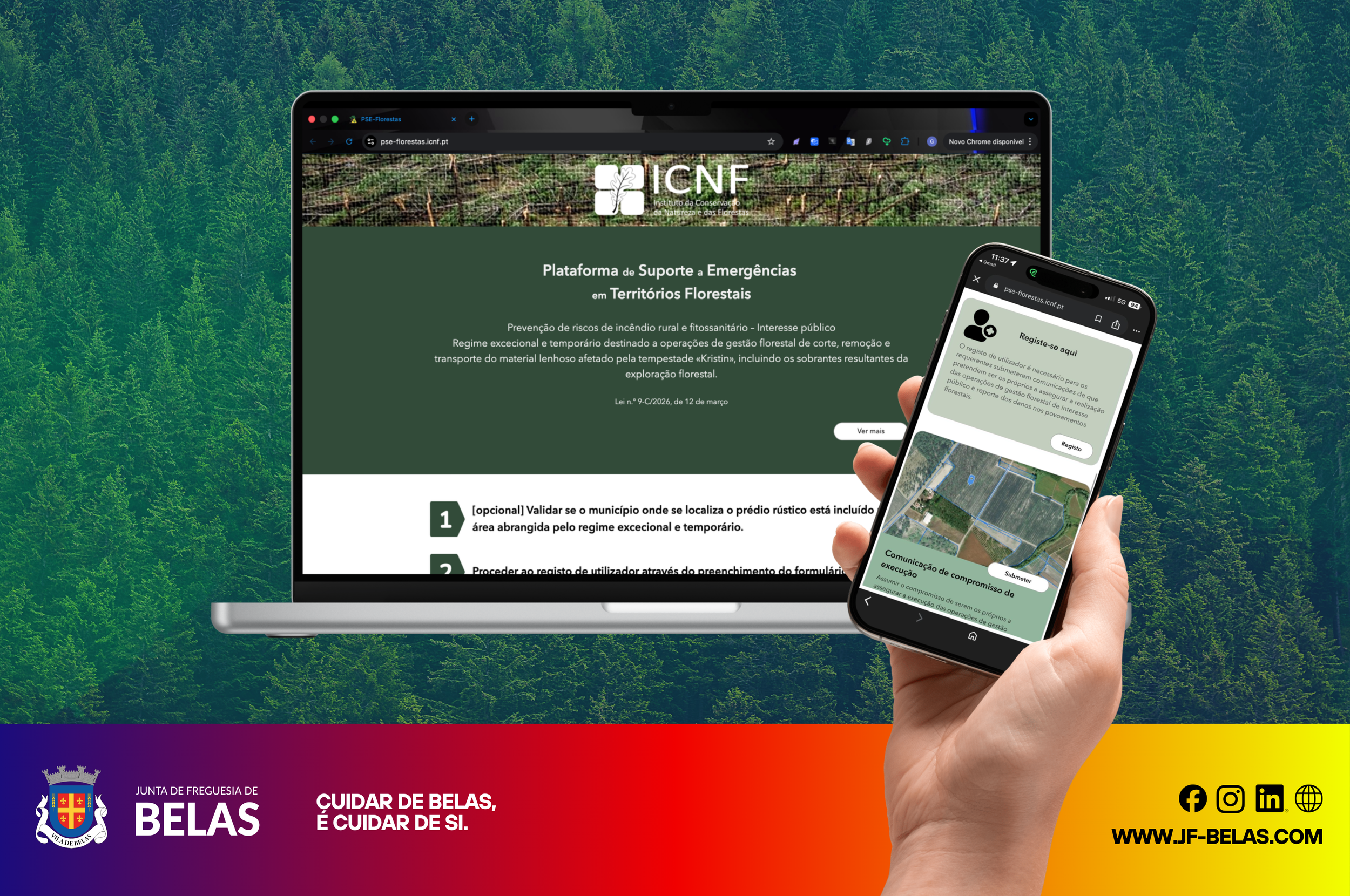 ICNF disponibiliza plataforma digital para comunicação de operações em territórios florestais