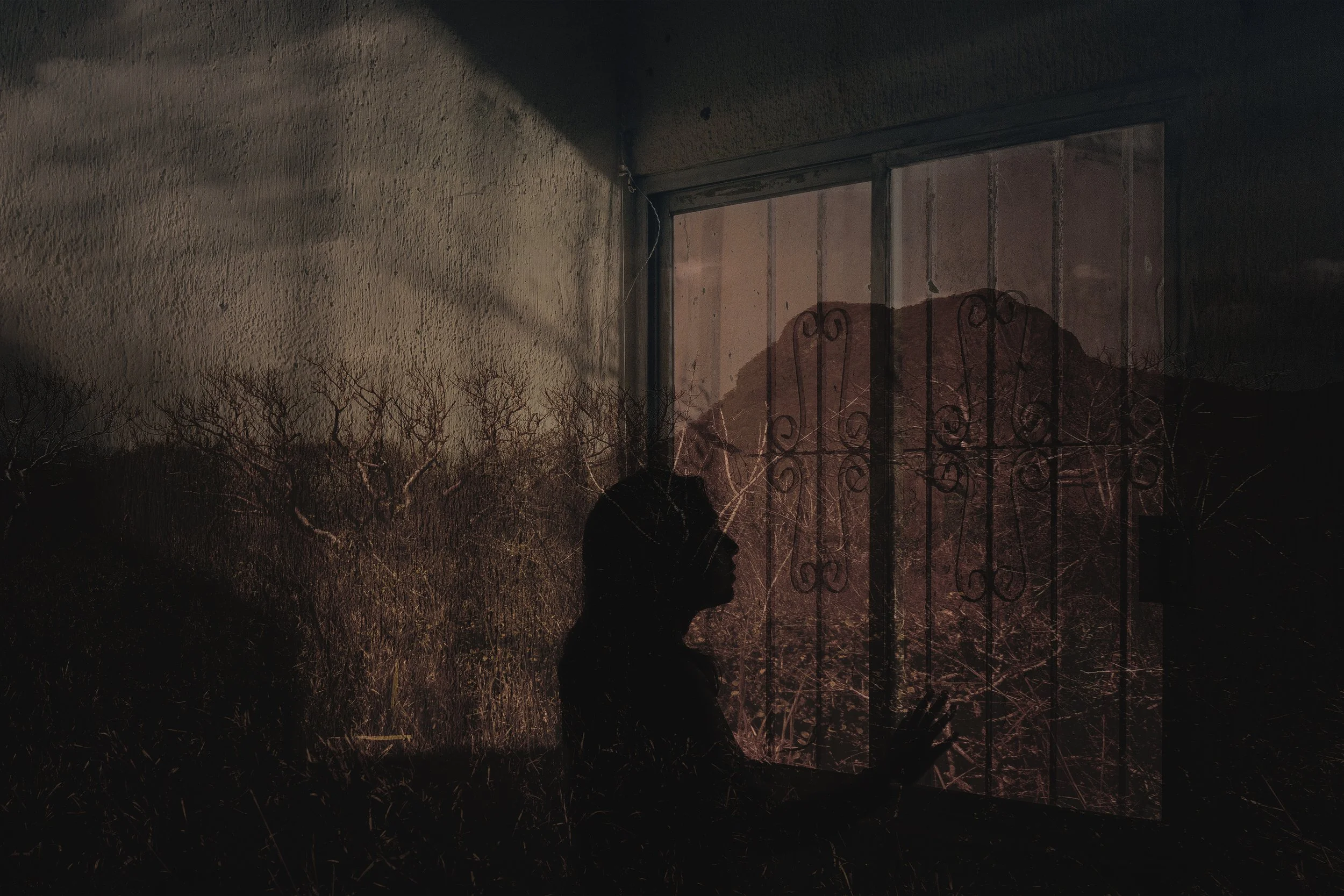 Insoslayable // 2021 // Manipulación Digital