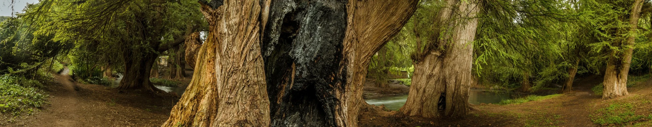 Autorretrato // 2016 // Fotografía Digital
