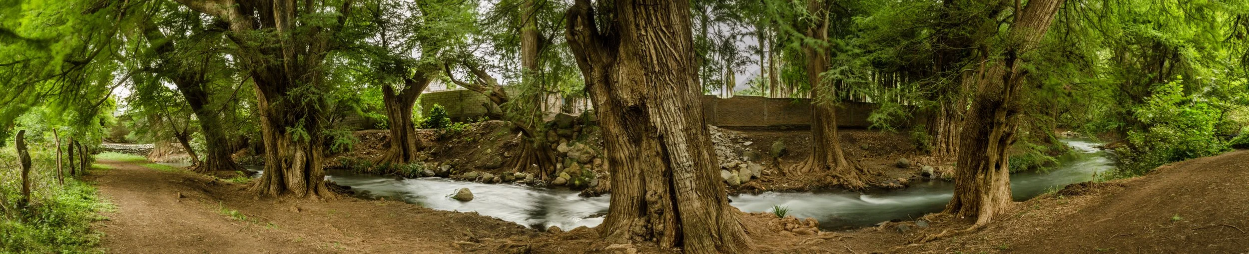 Sin Título // 2016 // Fotografía Digital