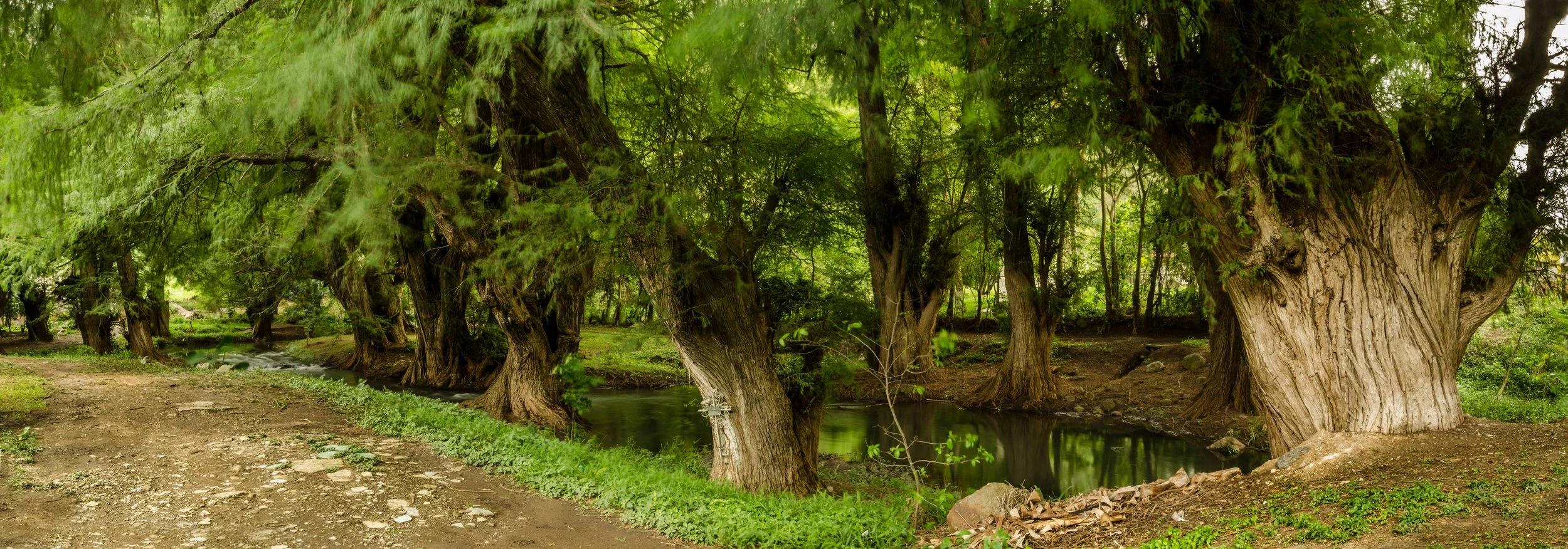 Sin Título // 2016 // Fotografía Digital