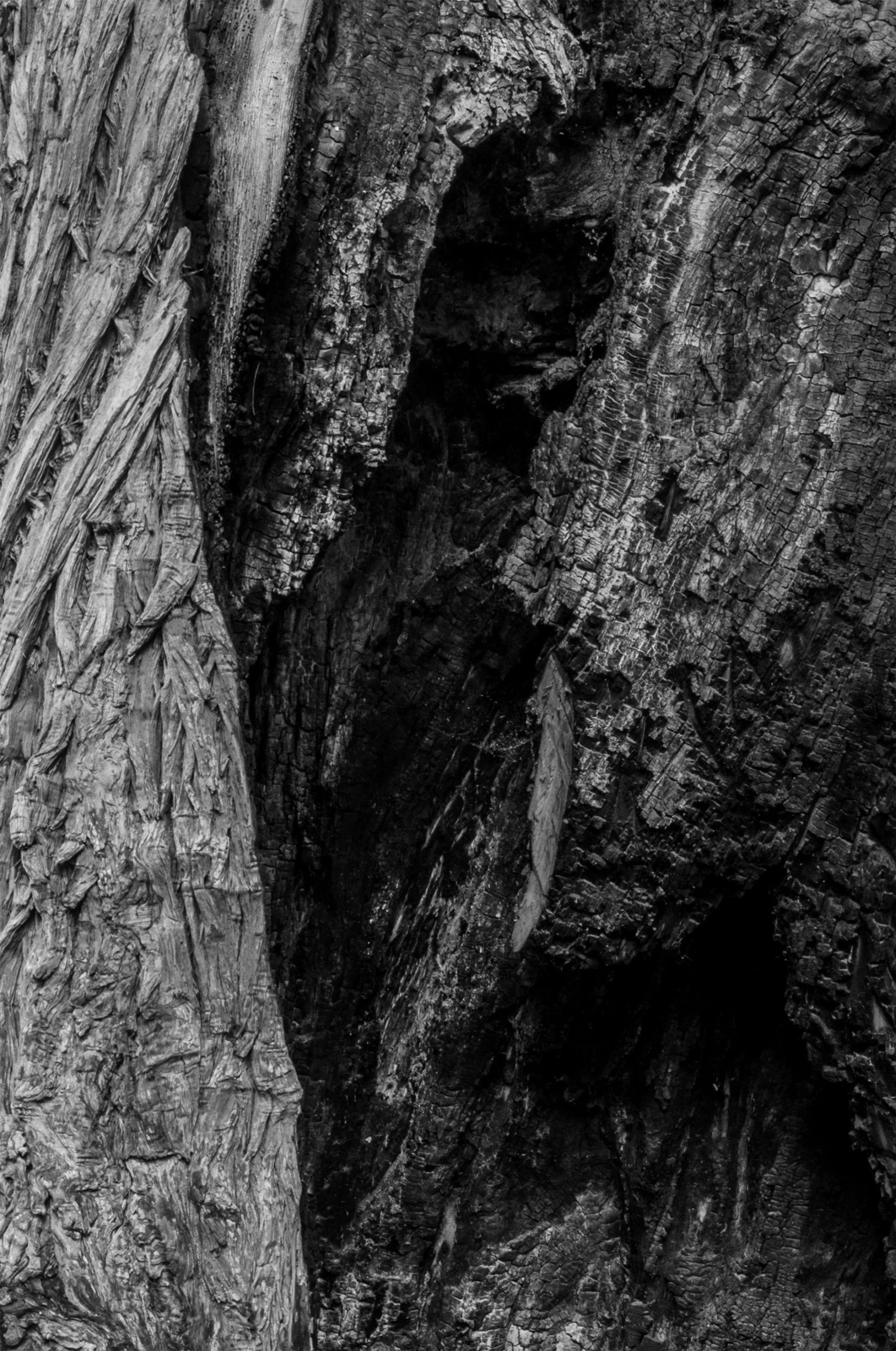 Sin título // 2020 // Fotografía Digital