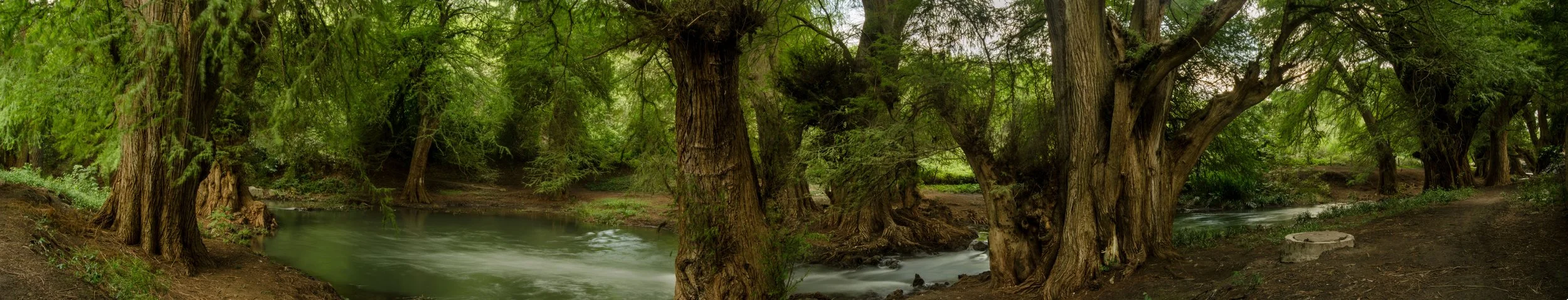 Sin Título // 2016 // Fotografía Digital