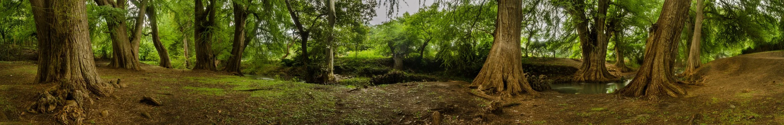 Sin Título // 2016 // Fotografía Digital