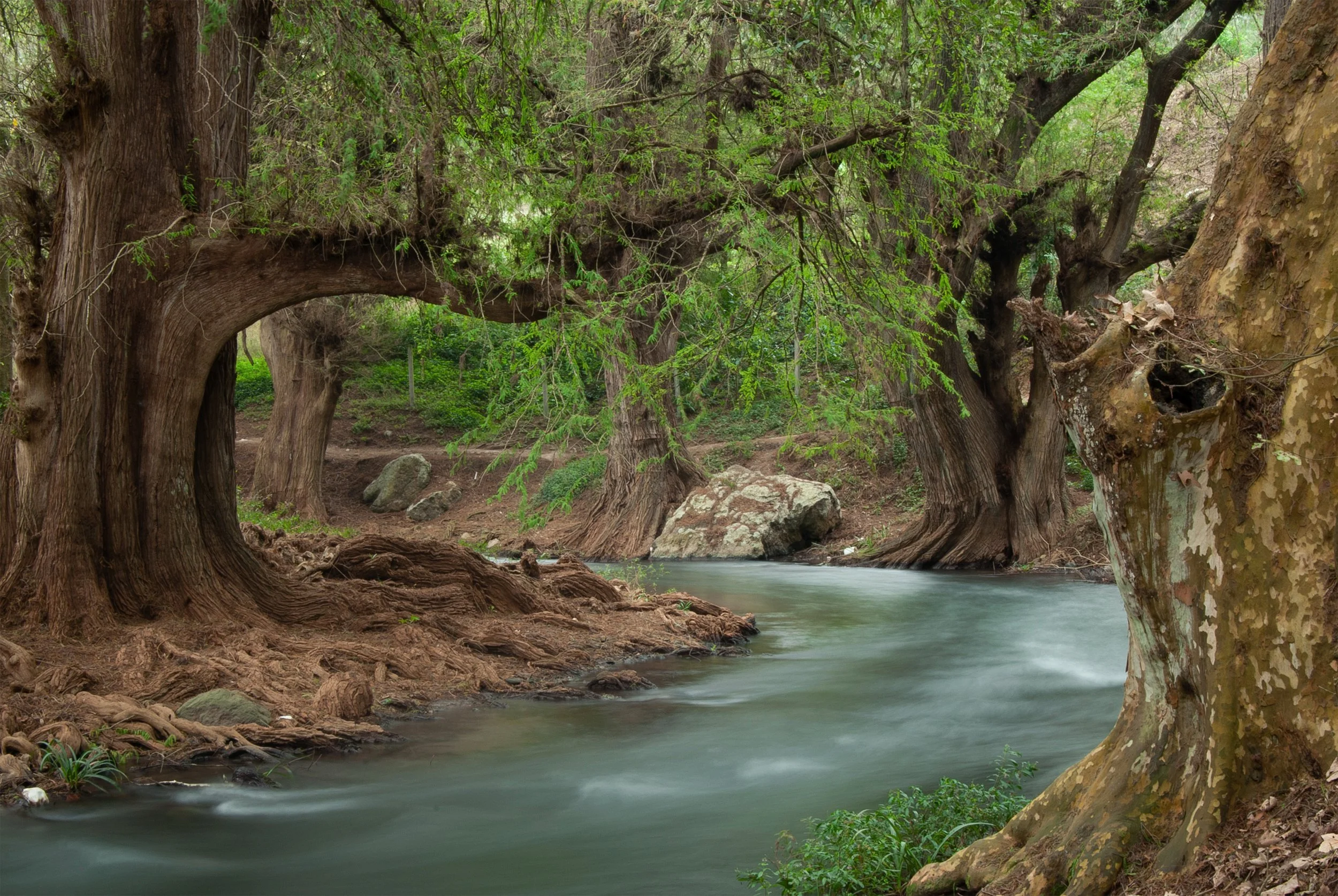 Sin título // 2020 // Fotografía Digital