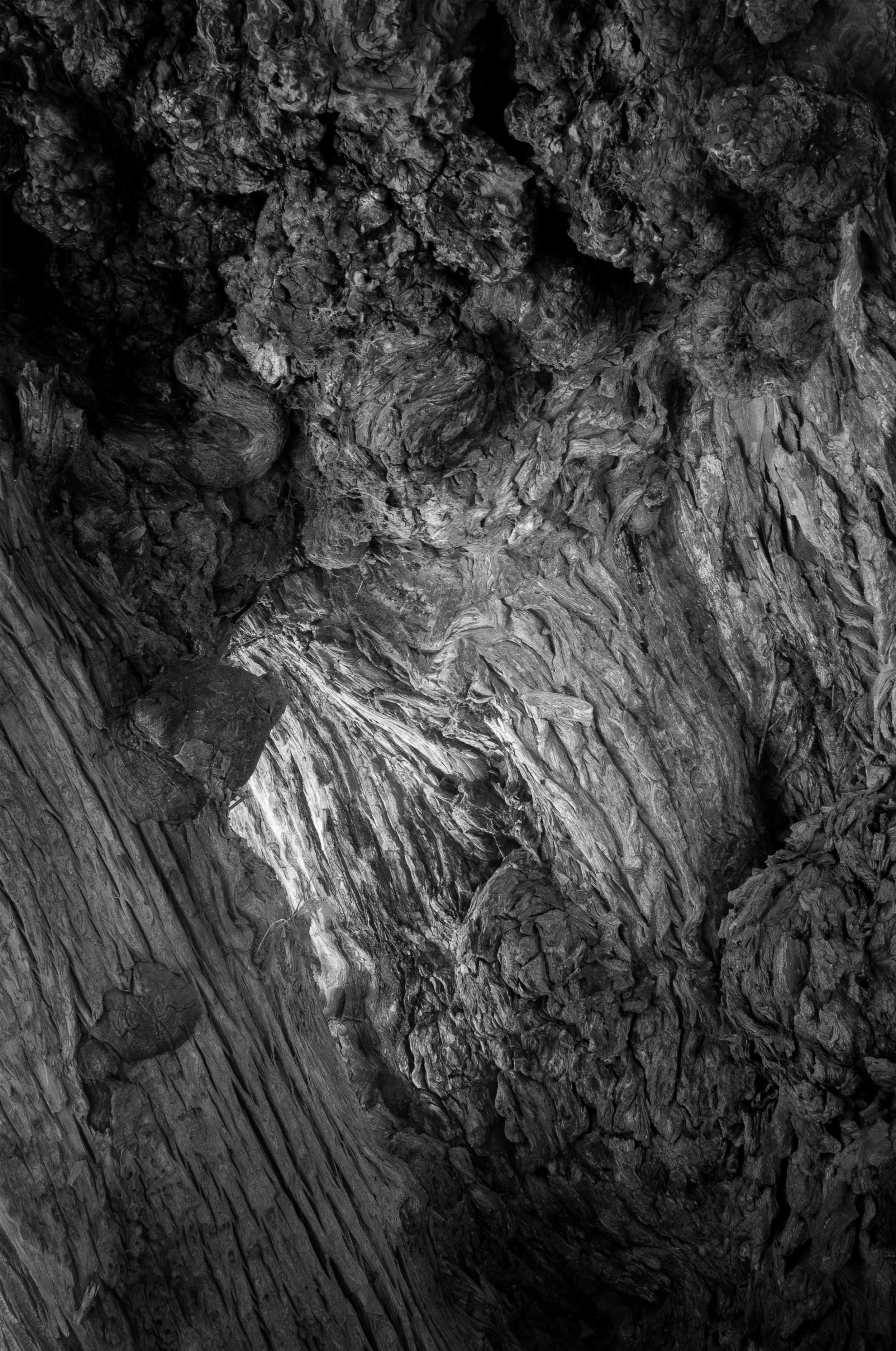 Sin título // 2020 // Fotografía Digital