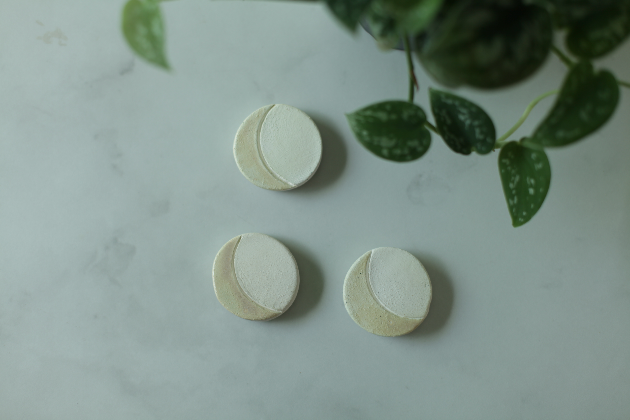 Round Crescent Moon Magnet Set