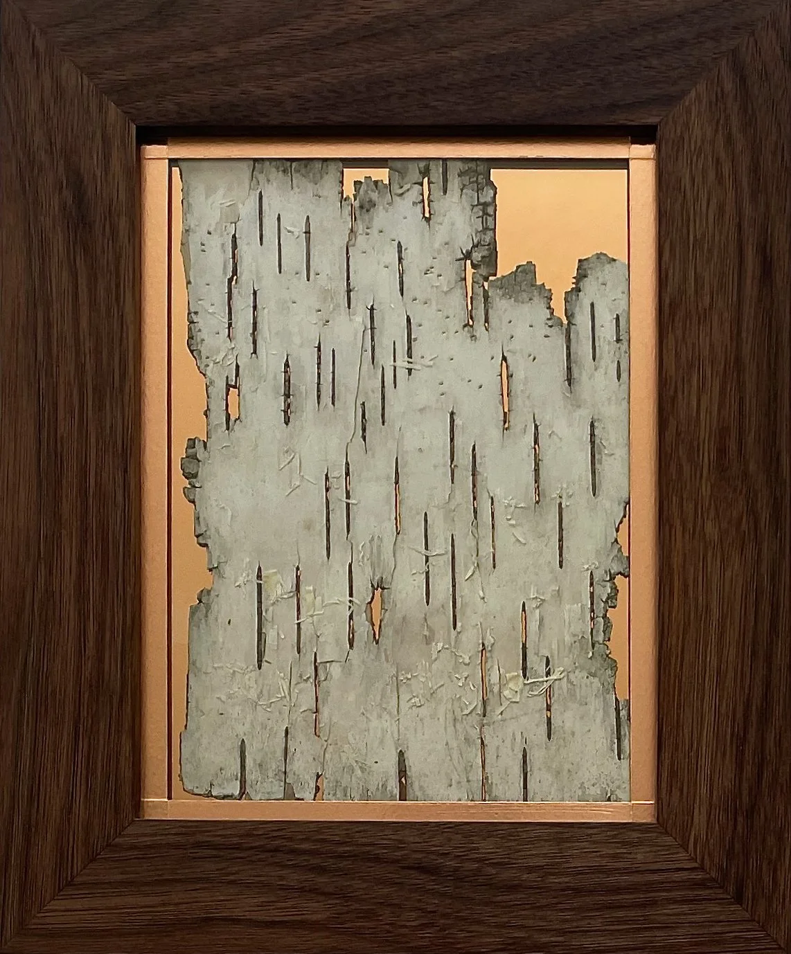 #2 White birch with copper in solid black walnut frame.  8.5" x 10.5"   $225
