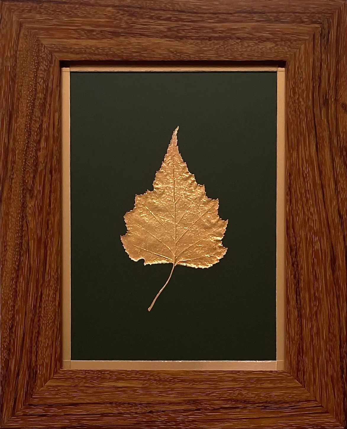 #1 Copper grey birch leaf framed in solid ebiara (red zebrawood).  8.5" x 10.5"   $225