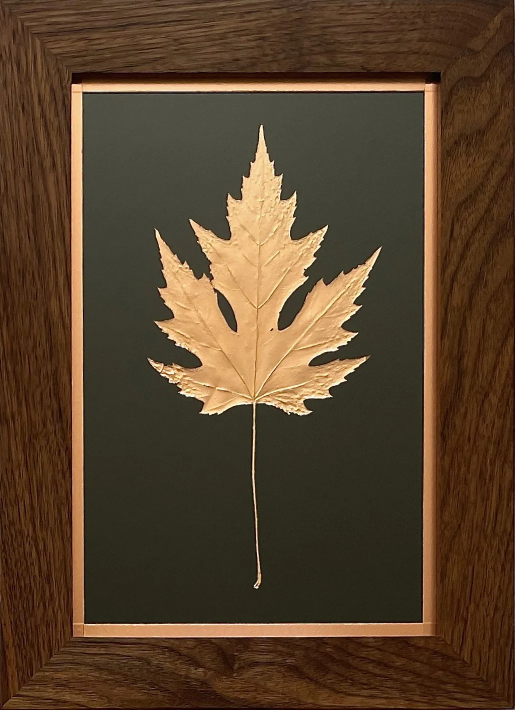 #4  Copper silver maple leaf framed in solid black walnut.  10.5" x 14.5"   $300