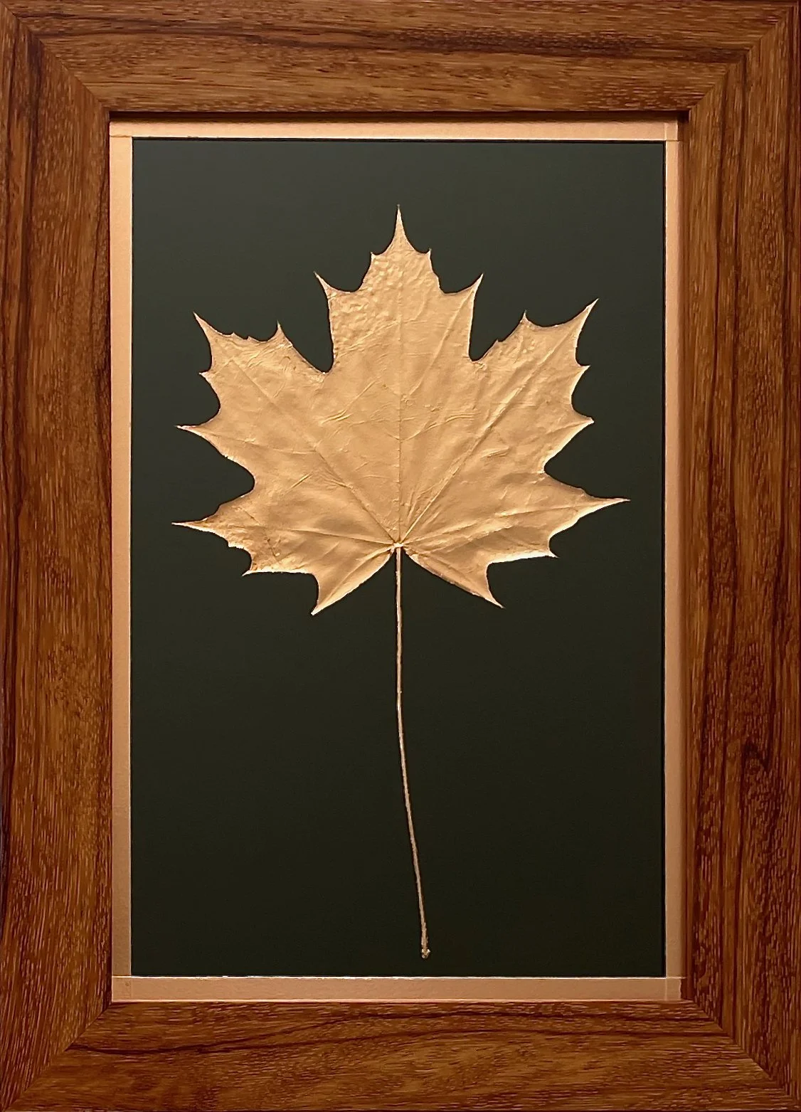 #3 Copper sugar maple leaf framed in solid ebiara (red zebrawood).  10.5" x 14.5"   $300